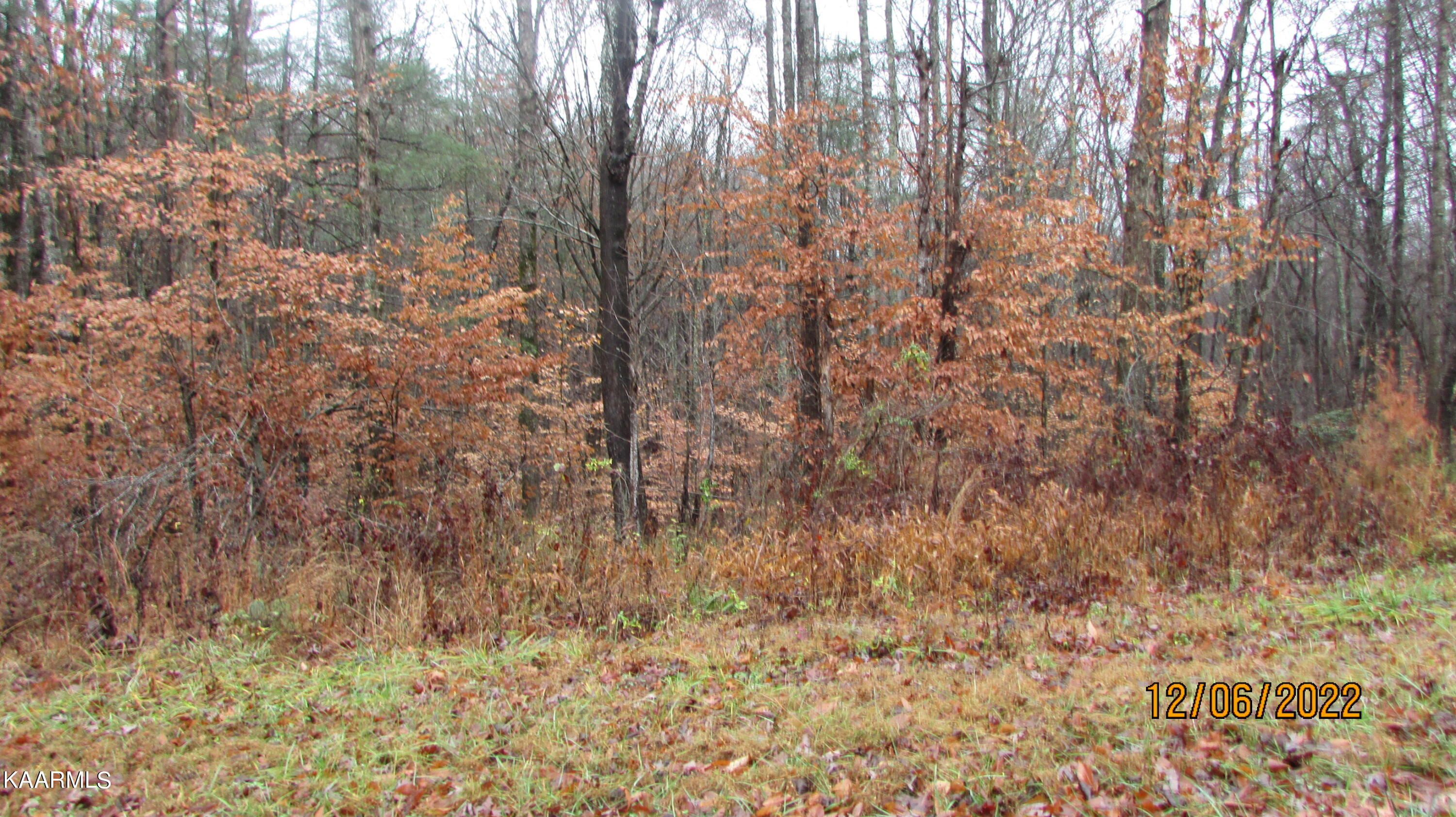 Patton Road Wartburg, TN 37887 - Photo 2 of 6 004