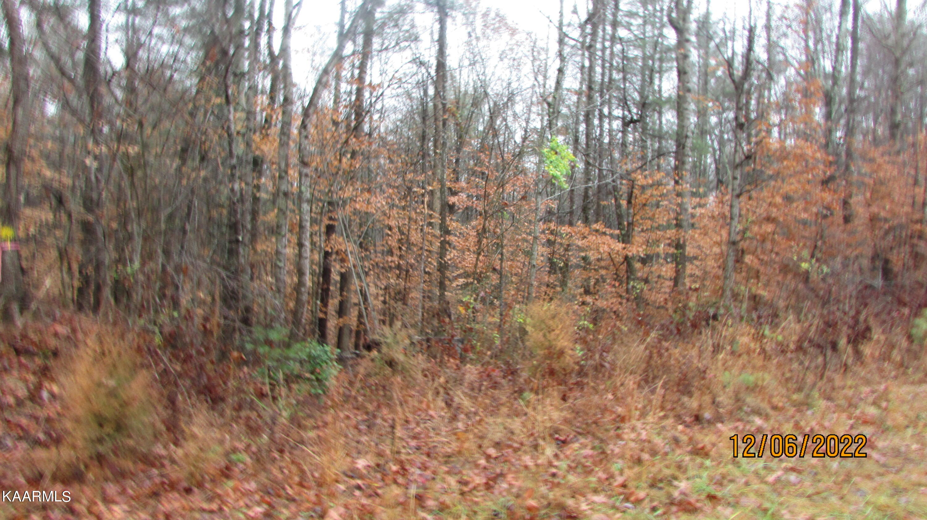 Patton Road Wartburg, TN 37887 - Photo 3 of 6 002