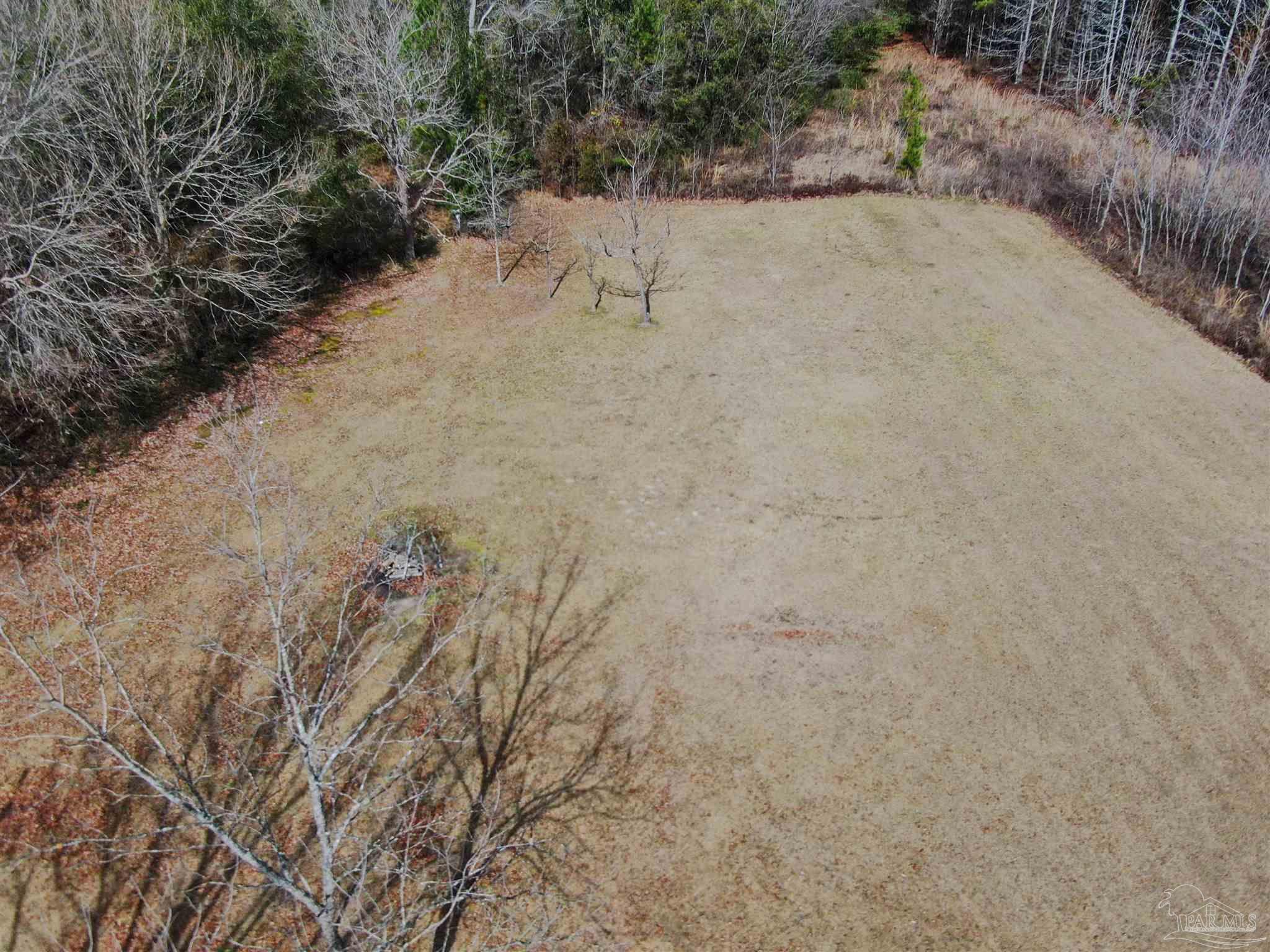 6455 Ridge Road Brewton, AL 36426 - Photo 3 of 39