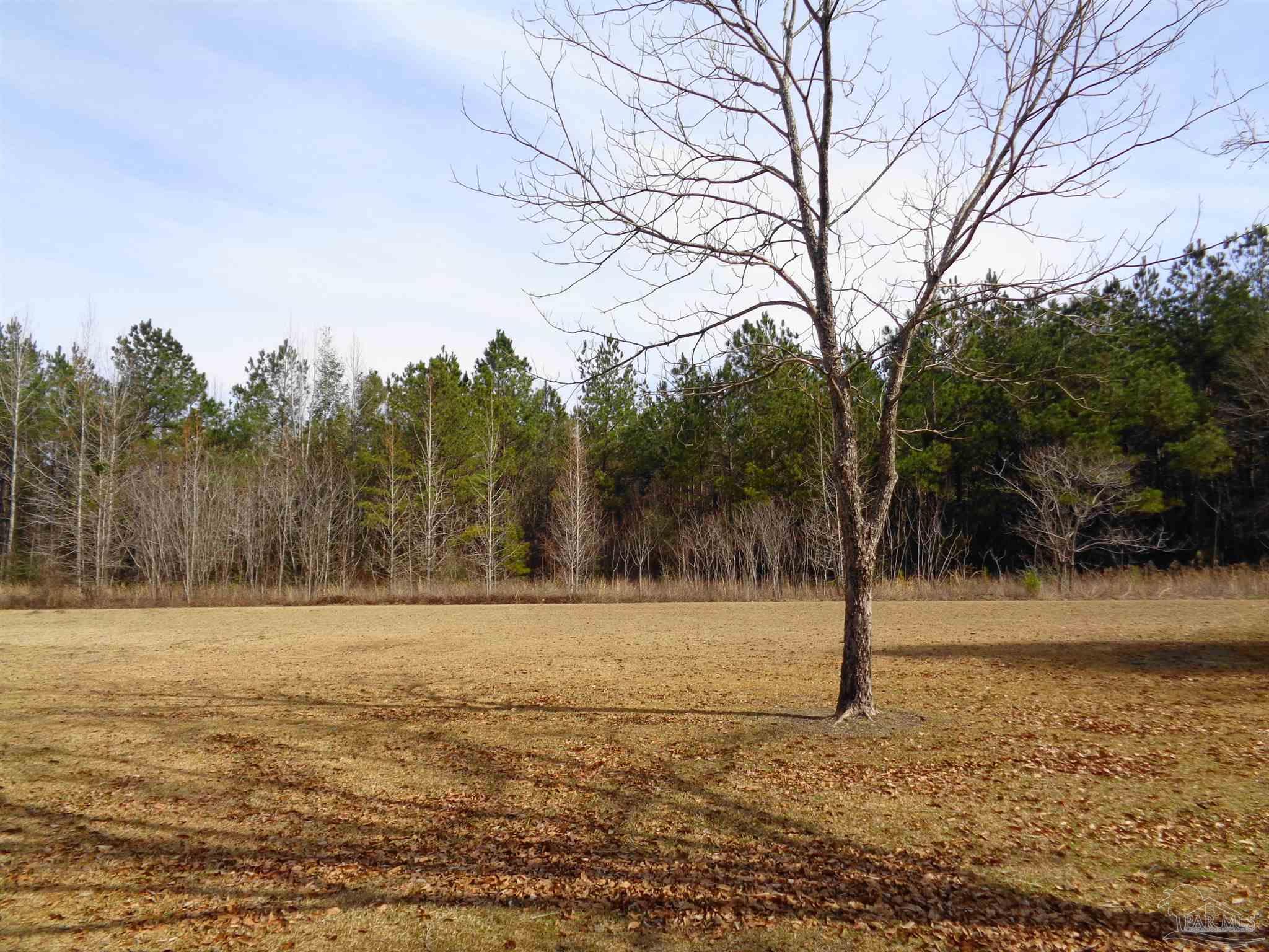 6455 Ridge Road Brewton, AL 36426 - Photo 31 of 39