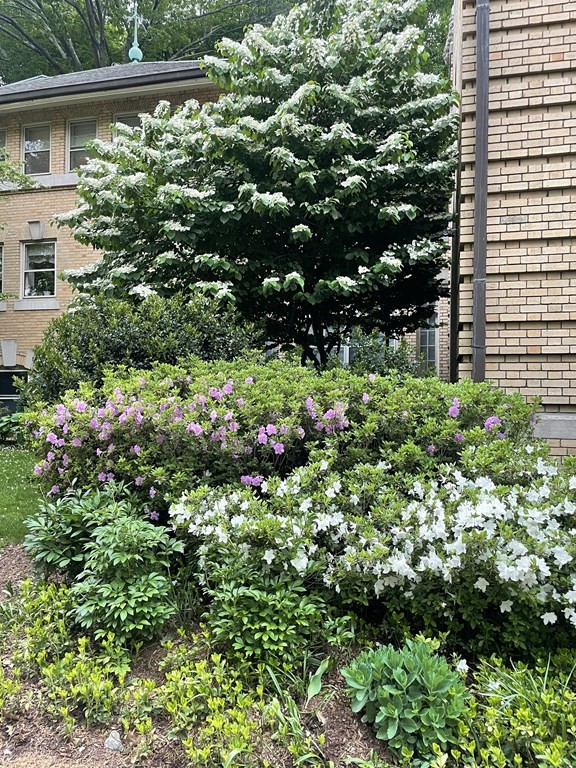 65 Glen Road, Unit H2 Brookline, MA 02445 - Photo 34 of 34 a view of a garden with plants