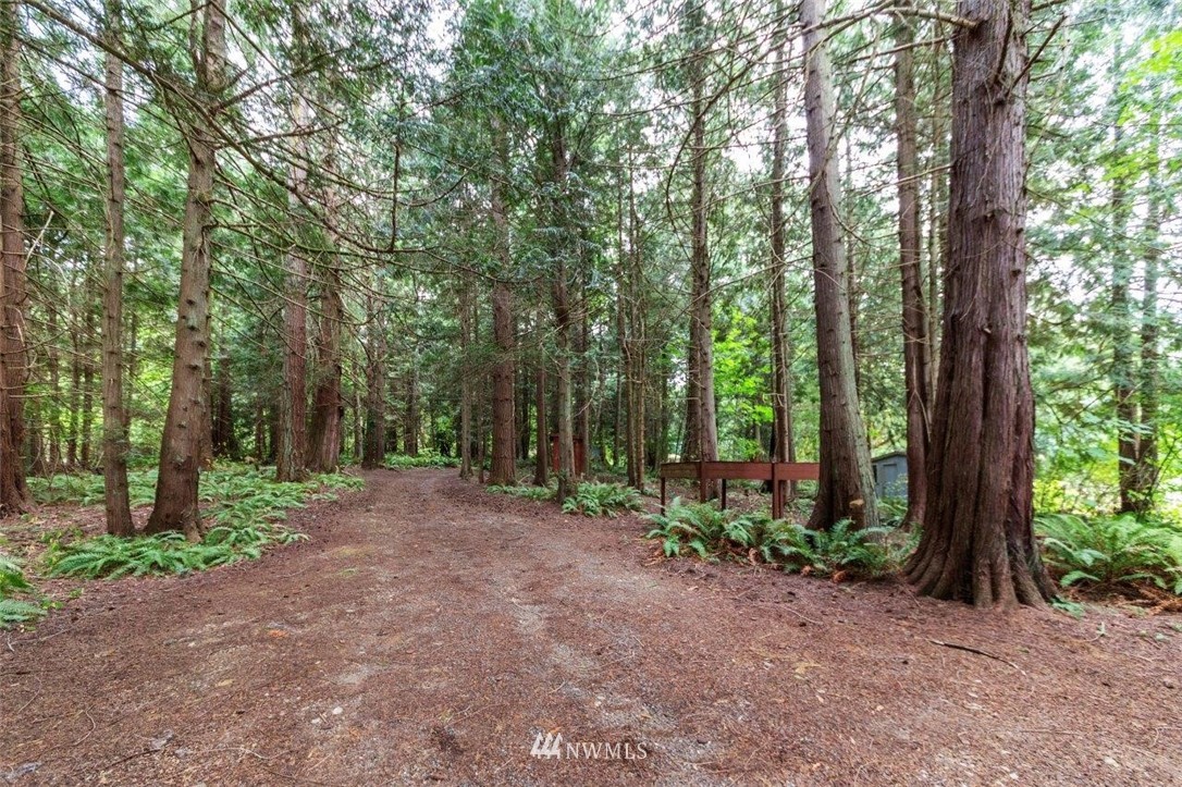 951 South Point Road Port Ludlow, WA 98365 - Photo 23 of 24 Gallery Image 23
