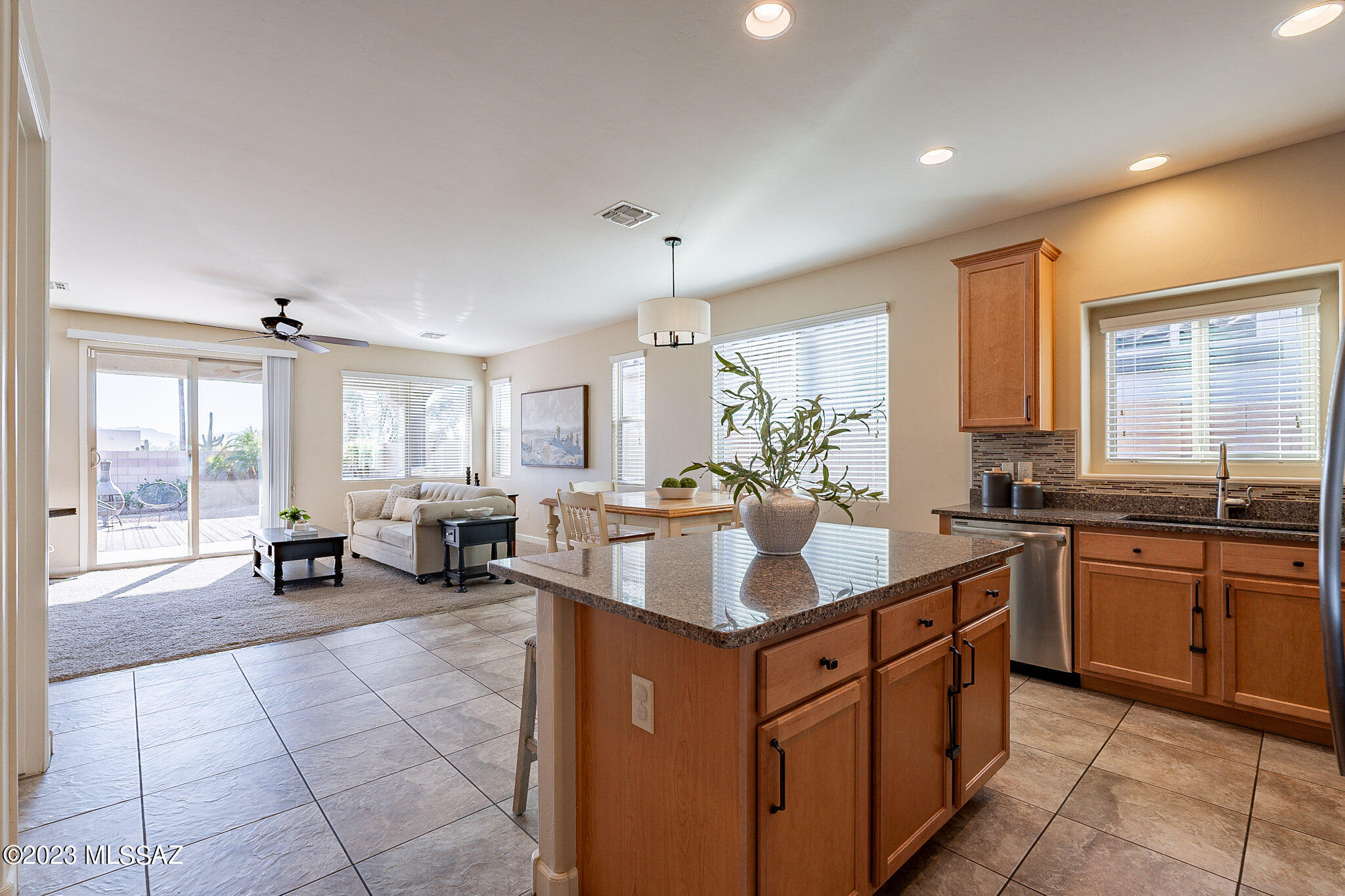 8409 North Gaetano Loop Tucson, AZ 85742 - Photo 15 of 49