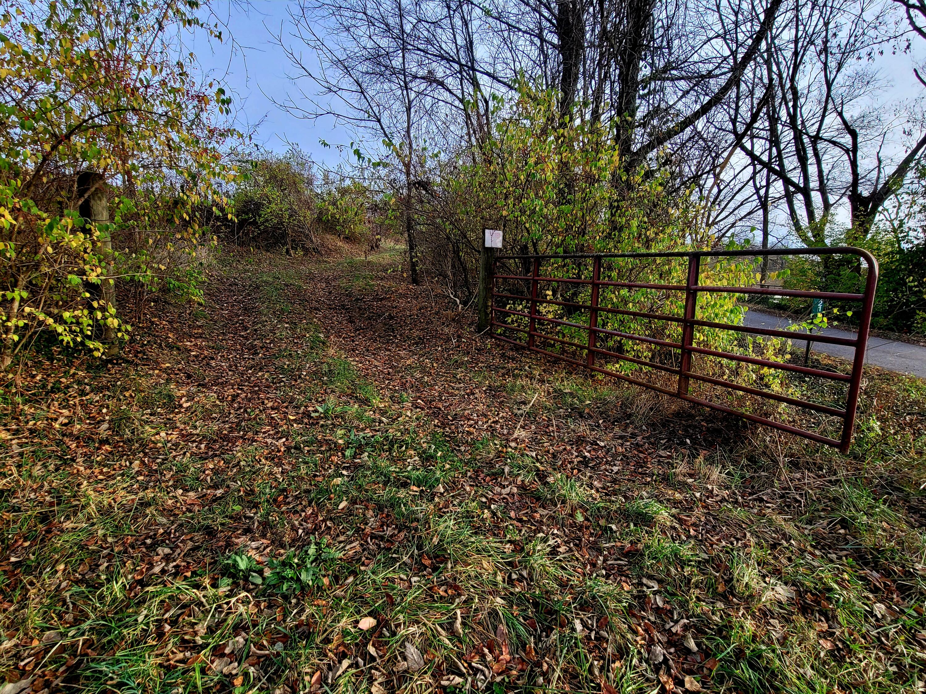 121 Rockridge Road Paris, KY 40361 - Photo 5 of 19 20221110_160405