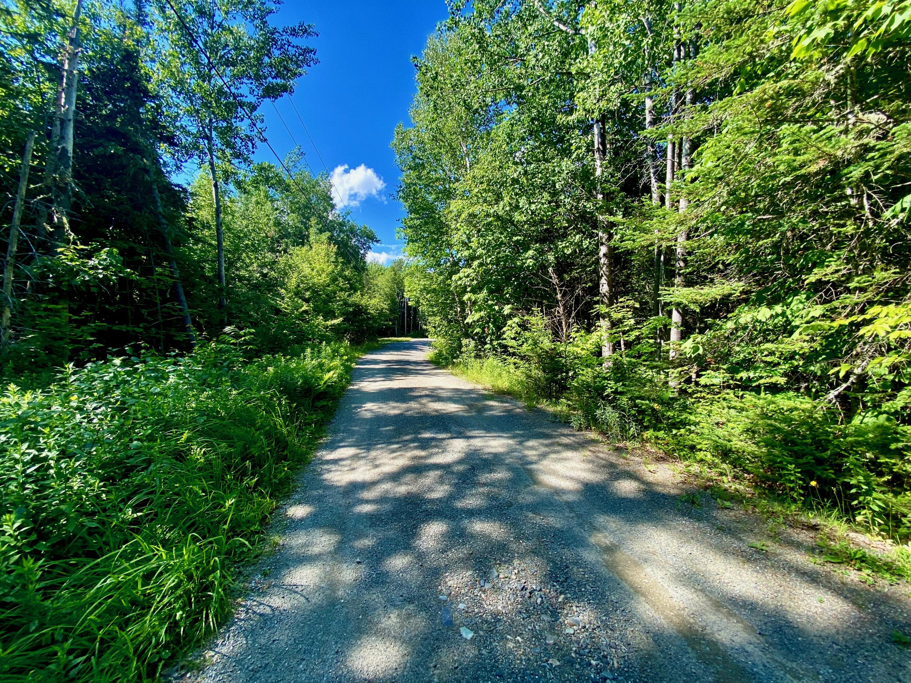 M34-l44.2a M34-l44.2a Curley Road Rangeley, ME 04970 - Photo 3 of 14 road sides view