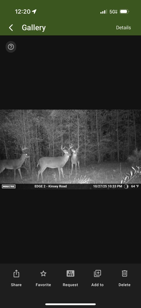 4305 Kinsey Road Dothan, AL 36303 - Photo 23 of 24