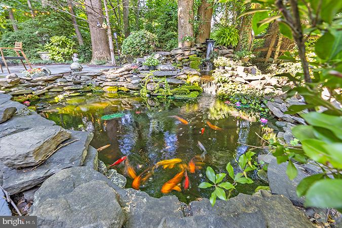 5131 Pheasant Ridge Road Fairfax, VA 22030 - Photo 2 of 61 Gallery Image 2