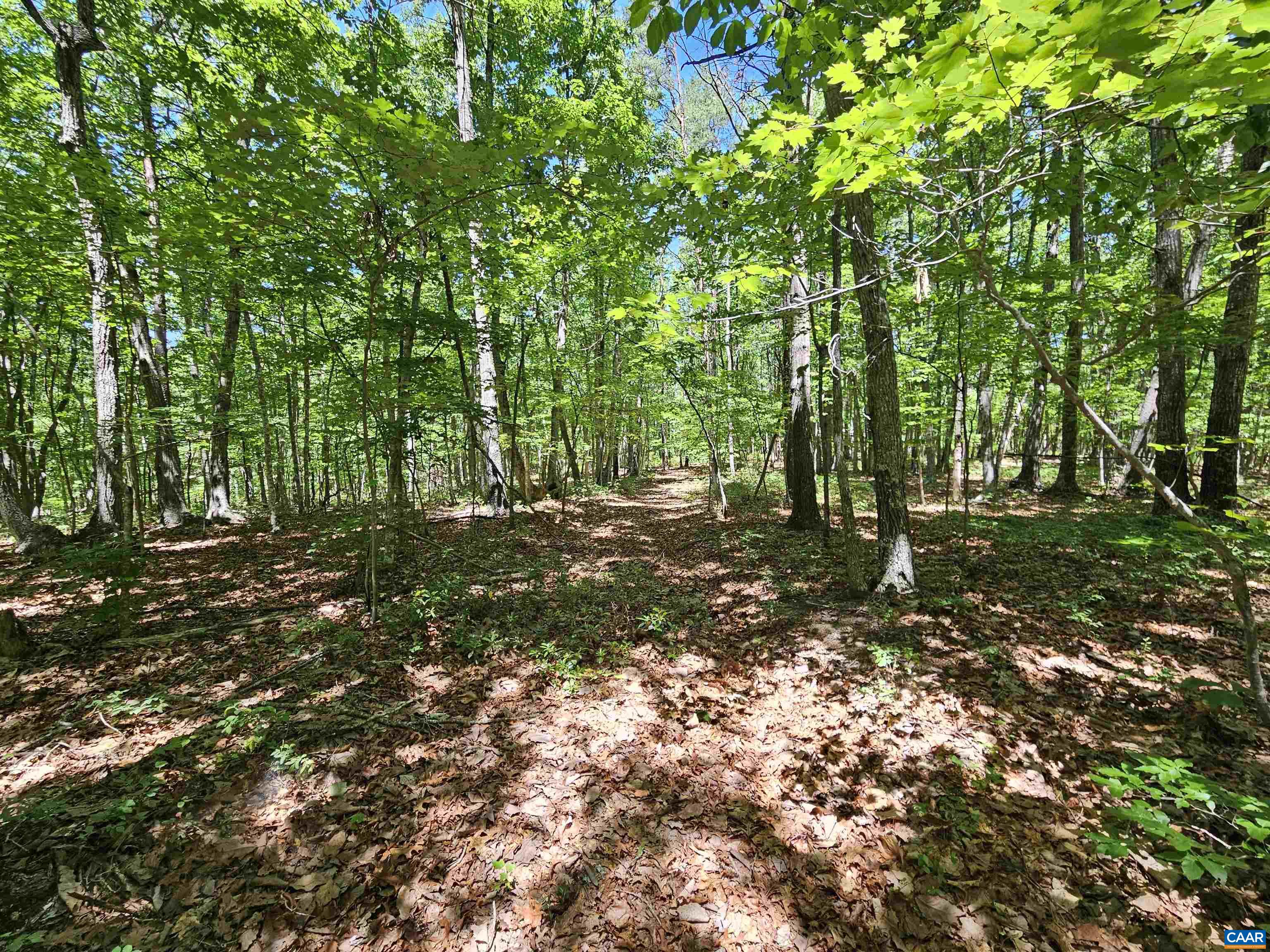 Manteo Road Buckingham, VA 23921 - Photo 12 of 19