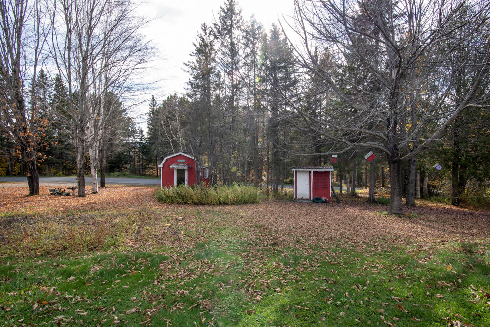 12 Sugartree Road St. David, ME 04773 - Photo 26 of 121 _NIK3165-2