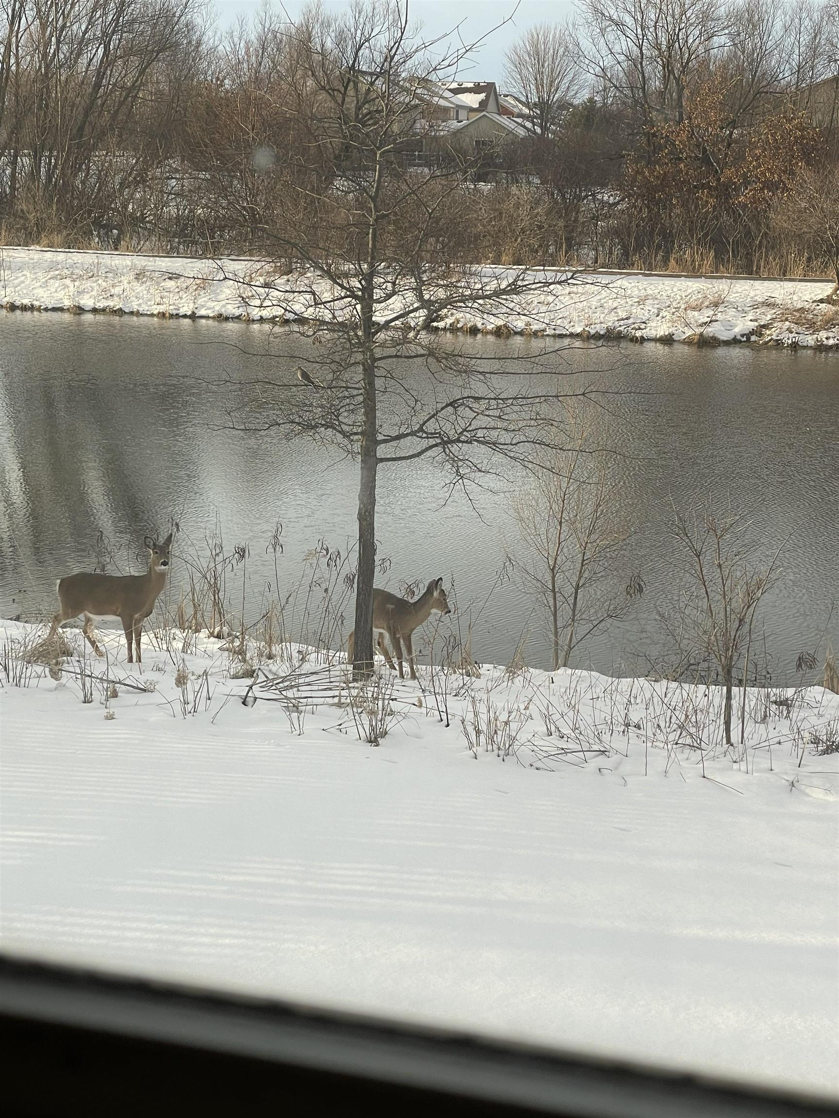 2638 Sweet Sparrow Place Sun Prairie, WI 53590 - Photo 94 of 96
