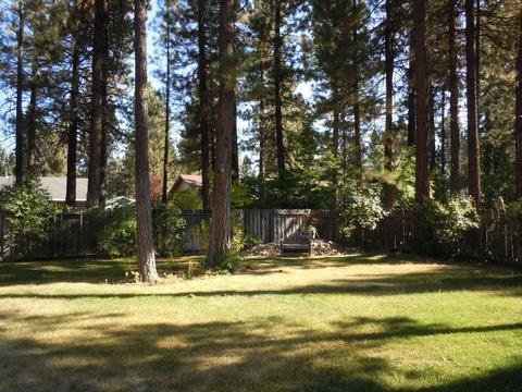 553 Purdy Road Chester, CA 96020 - Photo 3 of 18 Gallery Image 3
