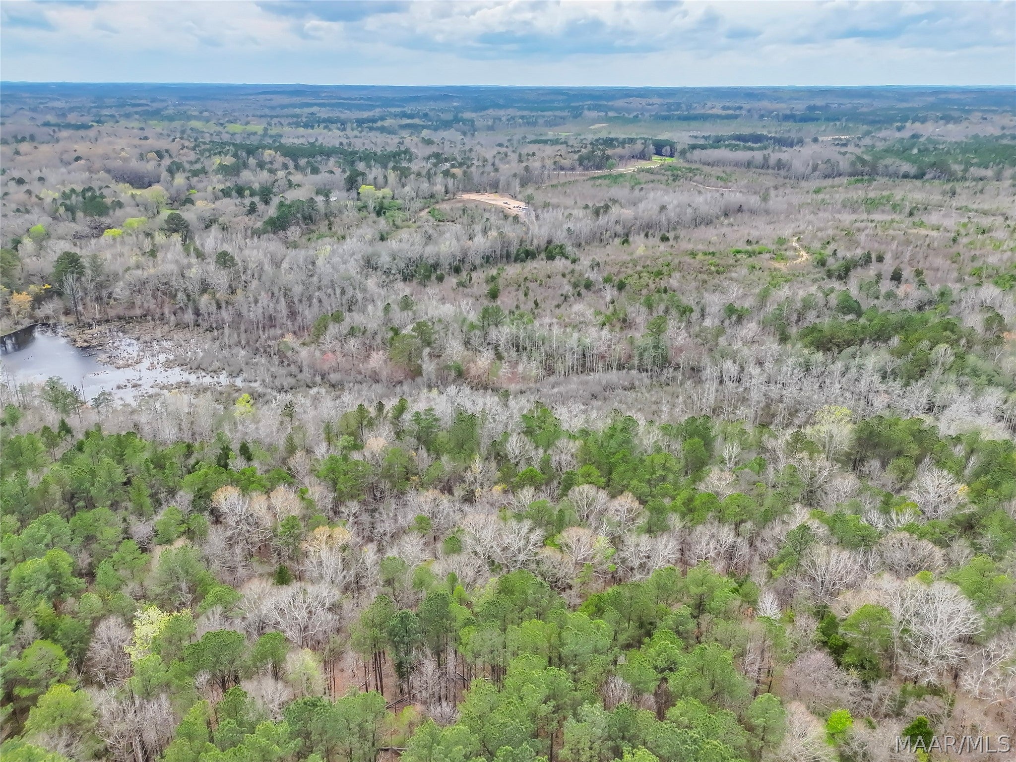 0 Brownin Road Ralph, AL 35480 - Photo 11 of 27 Gallery Image 11