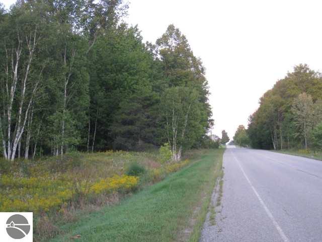 11225 West Fletcher Road Fife Lake, MI 49633 - Photo 3 of 11 1696133-2.JPG