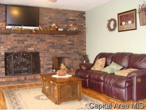 11731 Crum Road Arenzville, IL 62611 - Photo 2 of 12