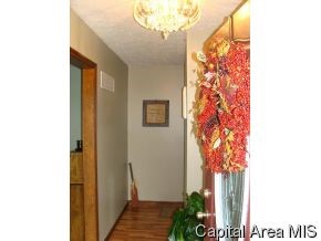 11731 Crum Road Arenzville, IL 62611 - Photo 9 of 12