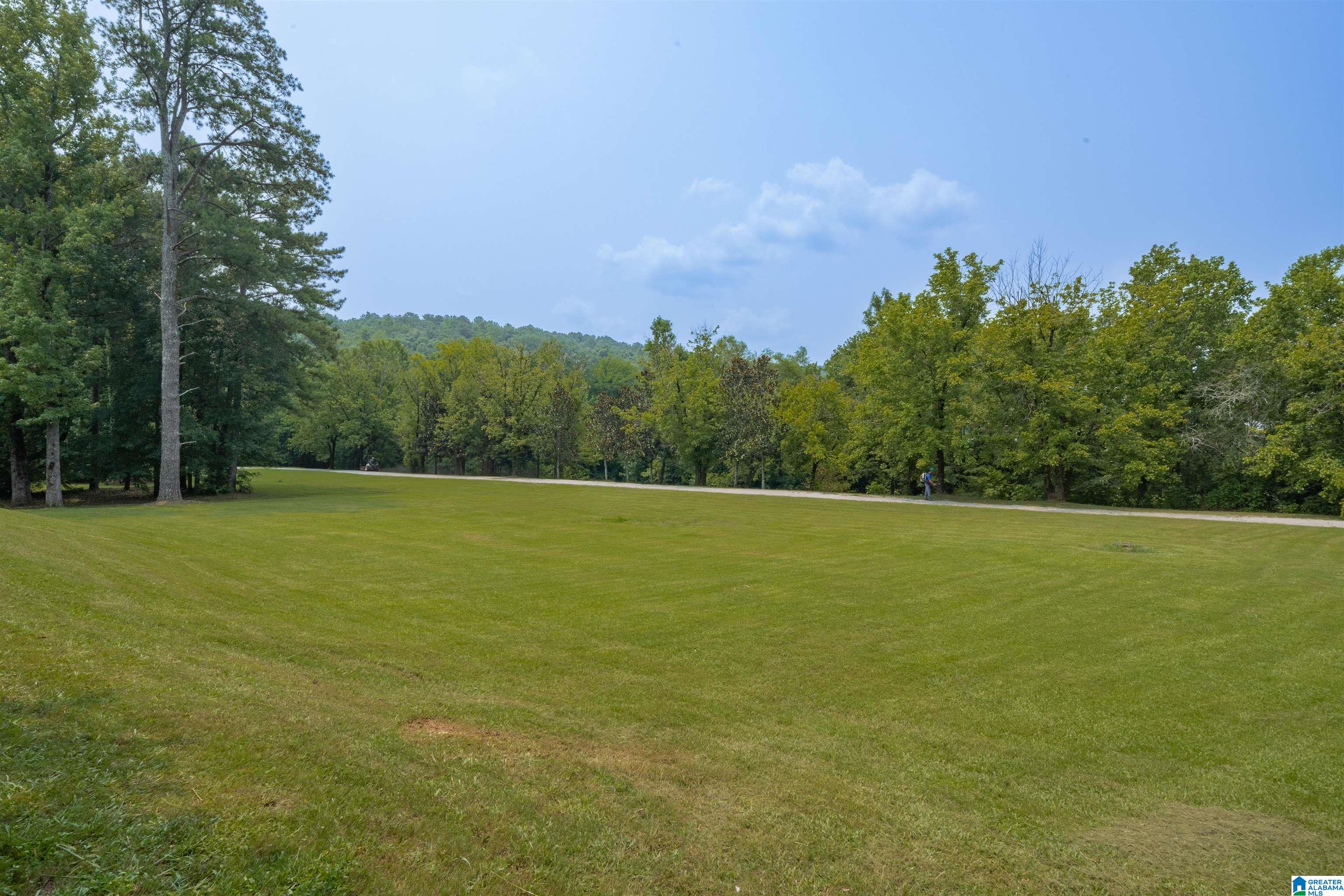 6332 Spring Street Trussville, AL 35173 - Photo 40 of 53