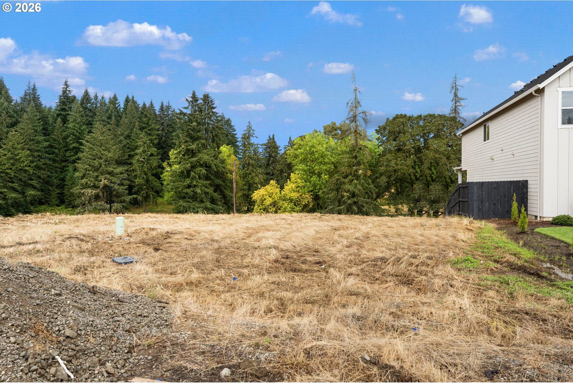3516 North 12th Circle Ridgefield, WA 98642 - Photo 5 of 18 Gallery Image 5
