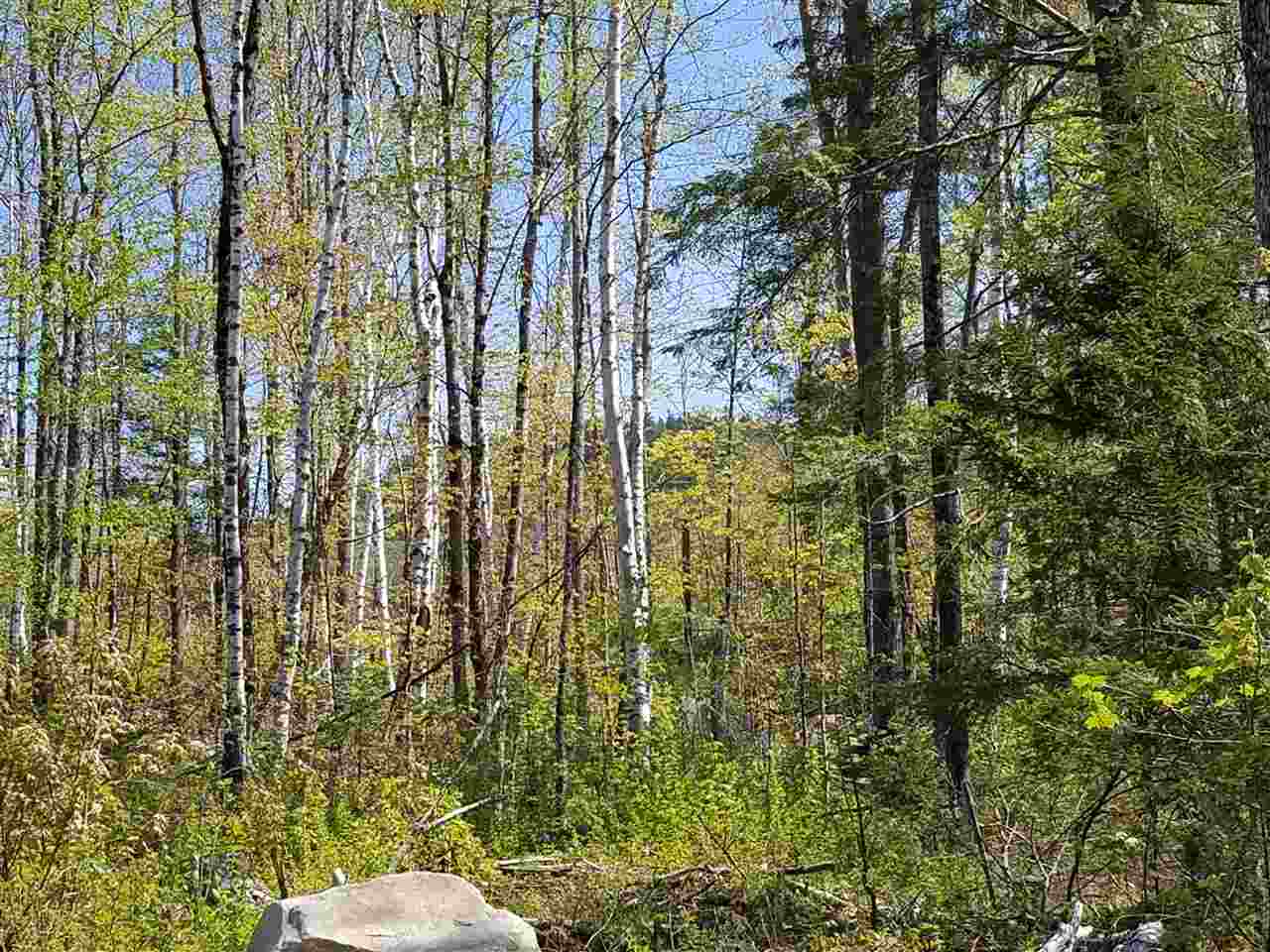 40 Millbrook Road Stark, NH 03582 - Photo 1 of 13