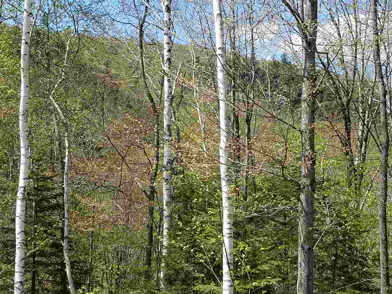 40 Millbrook Road Stark, NH 03582 - Photo 2 of 13