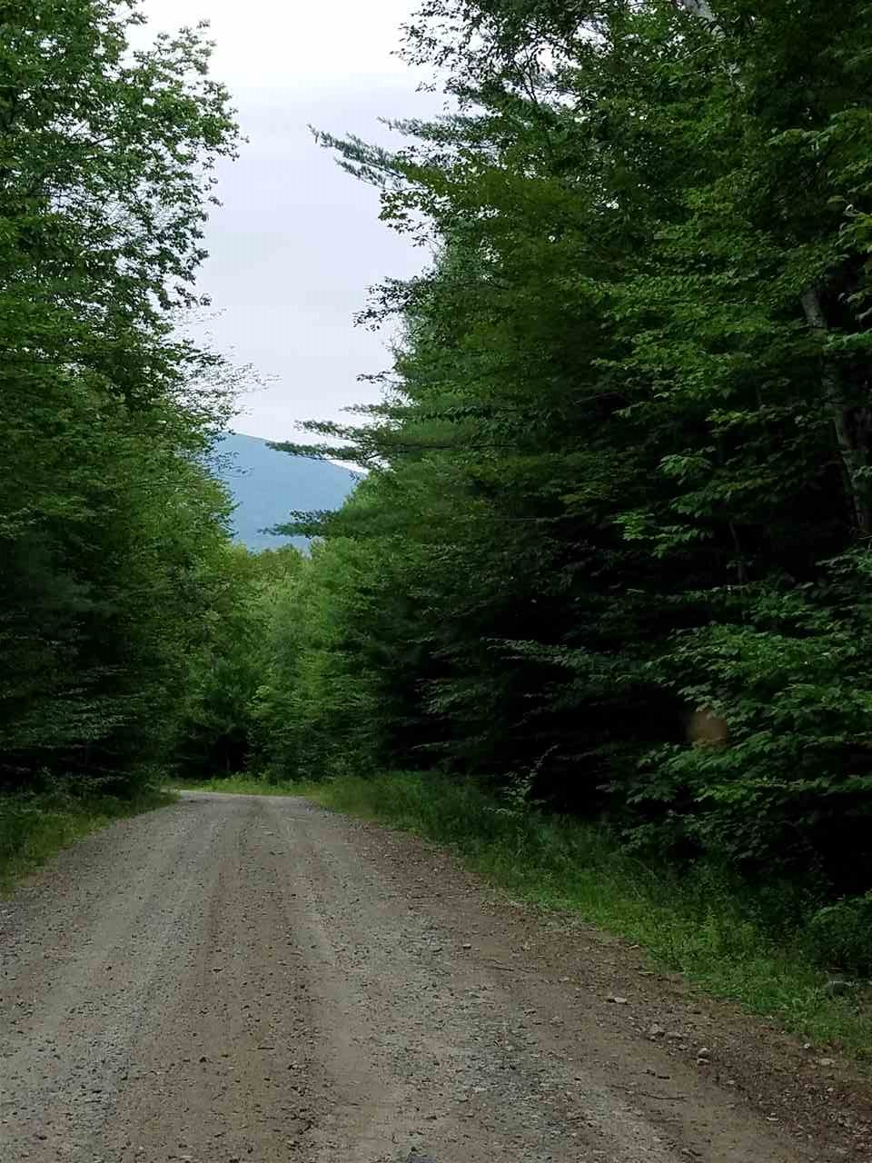 40 Millbrook Road Stark, NH 03582 - Photo 13 of 13