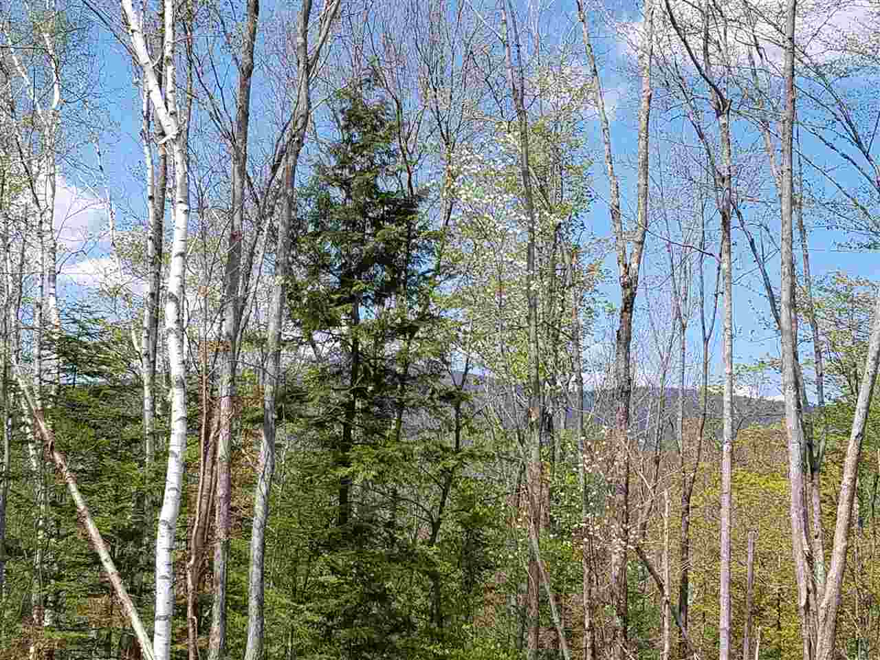 40 Millbrook Road Stark, NH 03582 - Photo 3 of 13