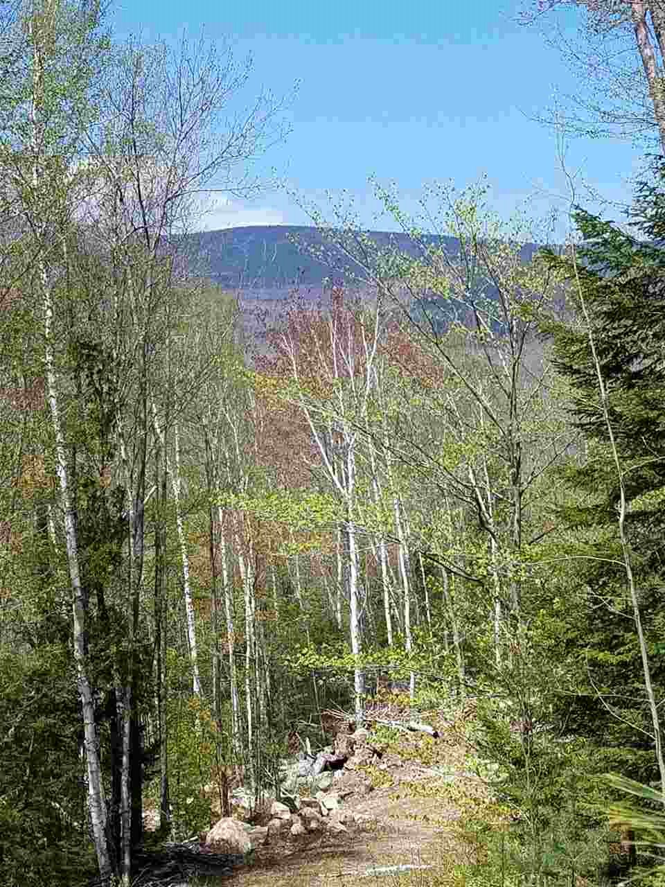 40 Millbrook Road Stark, NH 03582 - Photo 4 of 13