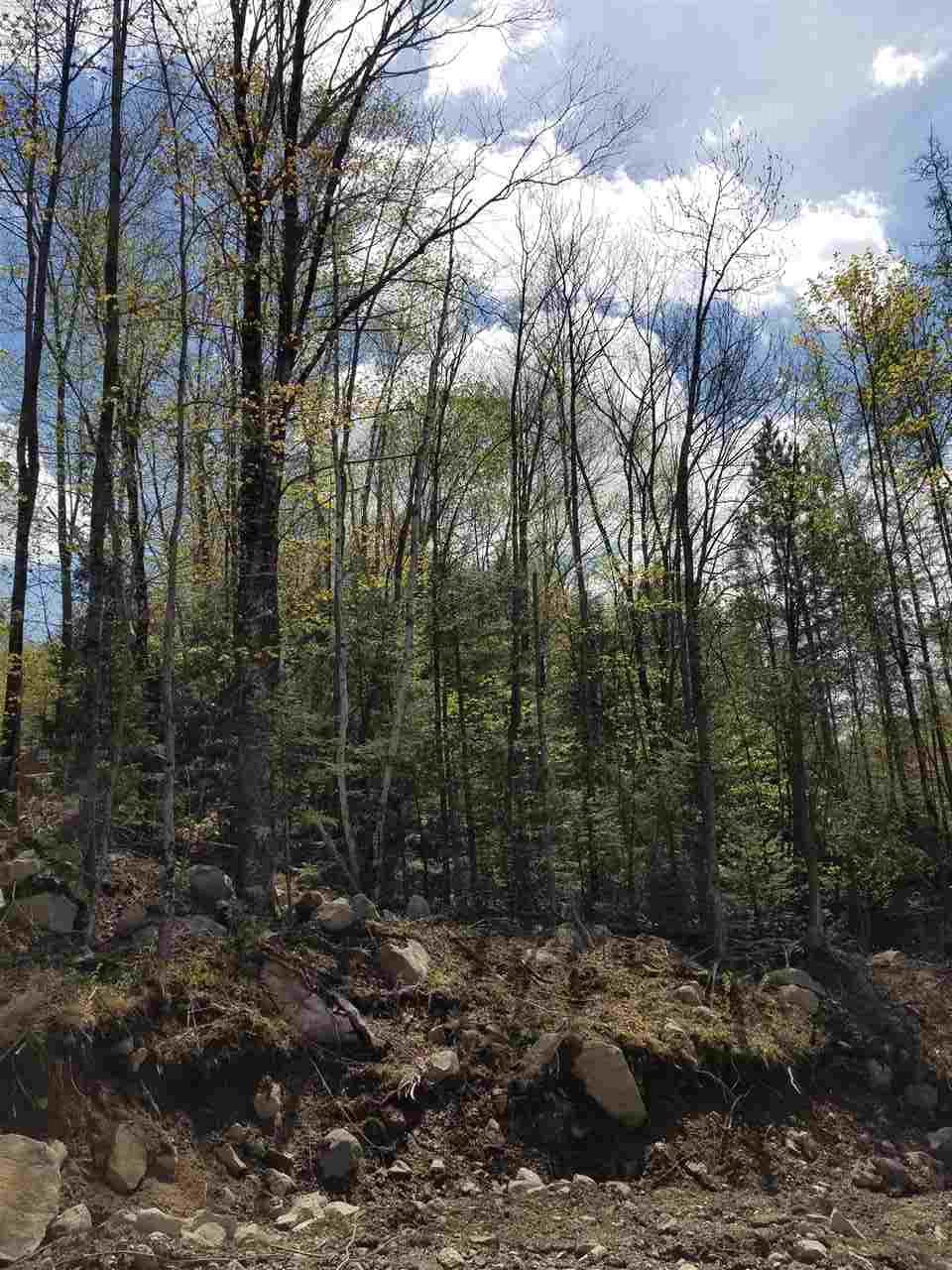40 Millbrook Road Stark, NH 03582 - Photo 5 of 13