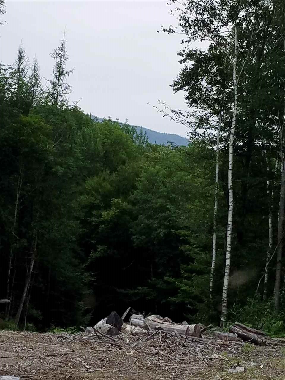 40 Millbrook Road Stark, NH 03582 - Photo 7 of 13