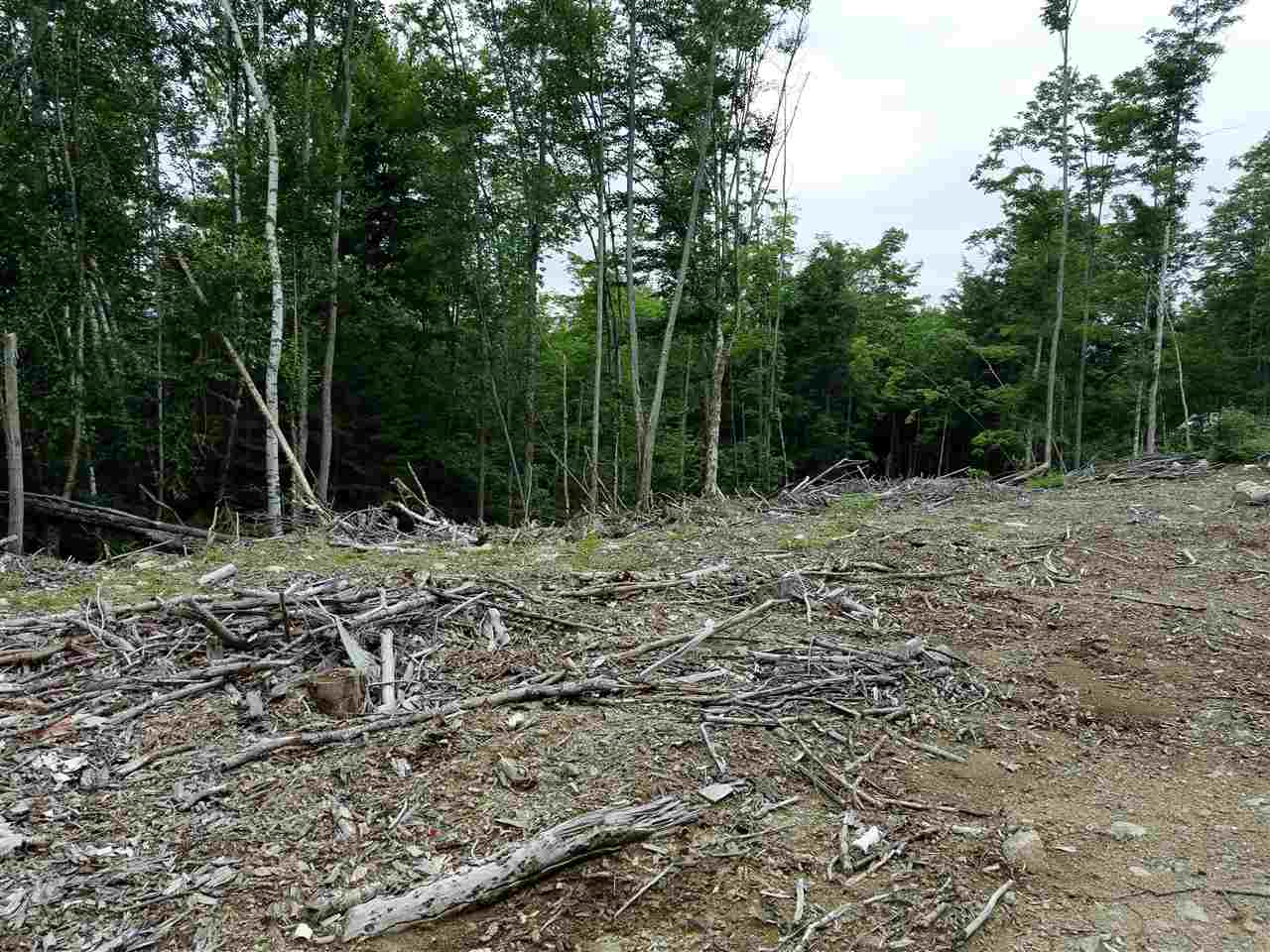 40 Millbrook Road Stark, NH 03582 - Photo 8 of 13