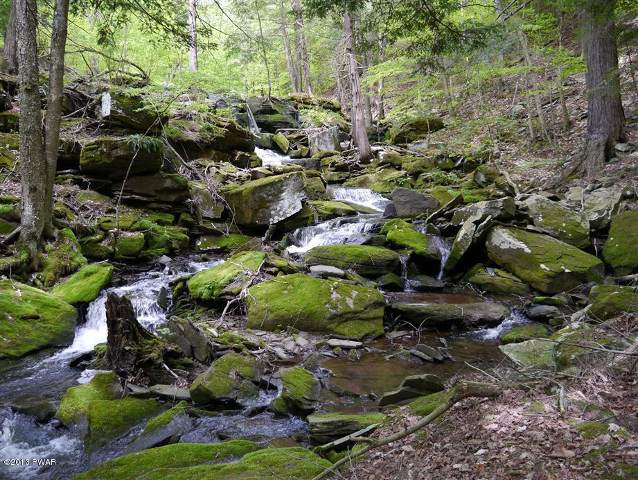 Lot 2 Layton Road Equinunk, PA 18417 - Photo 17 of 17