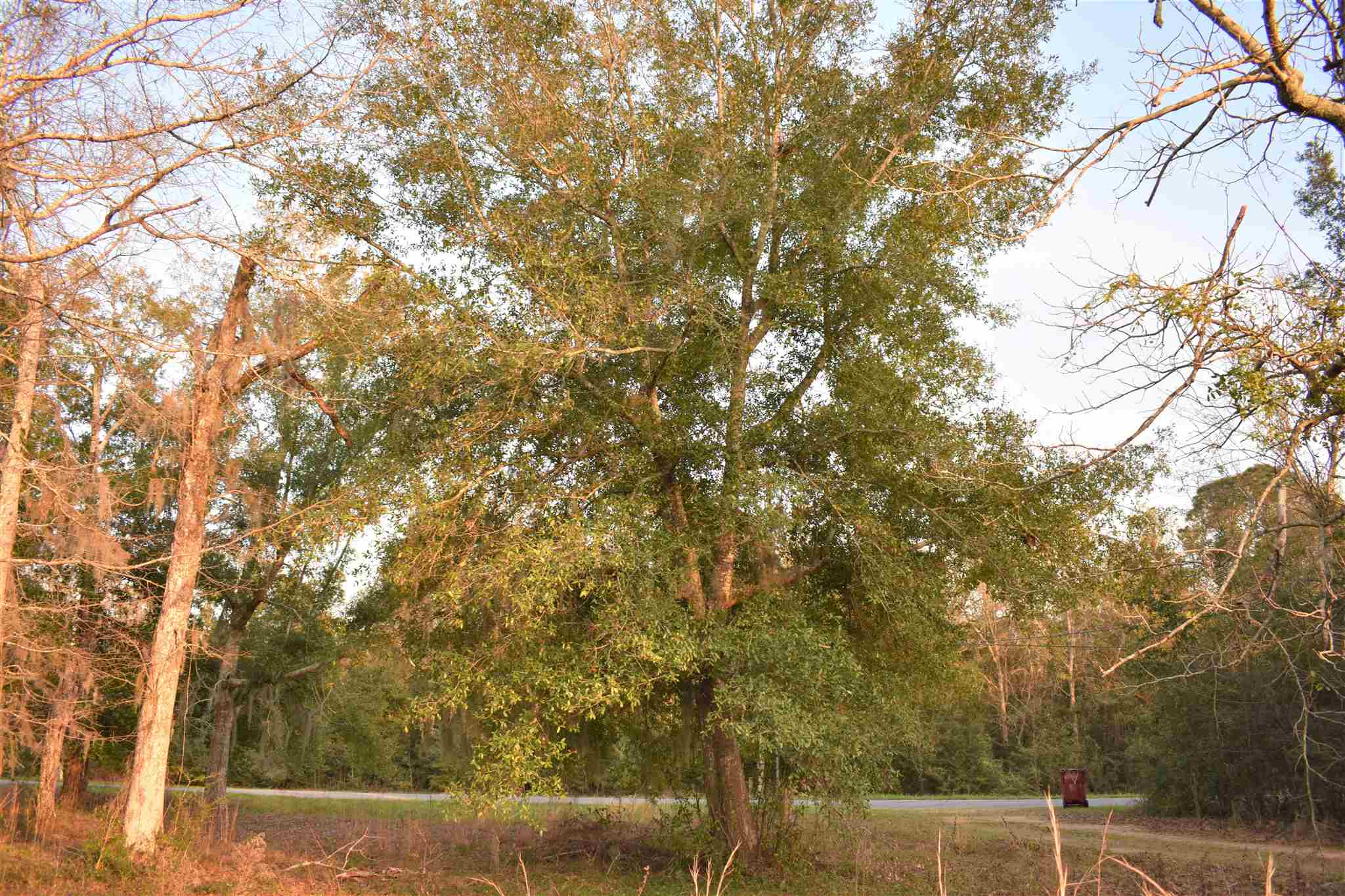 369 Garcon Point Road Milton, FL 32583 - Photo 2 of 19 Gallery Image 2