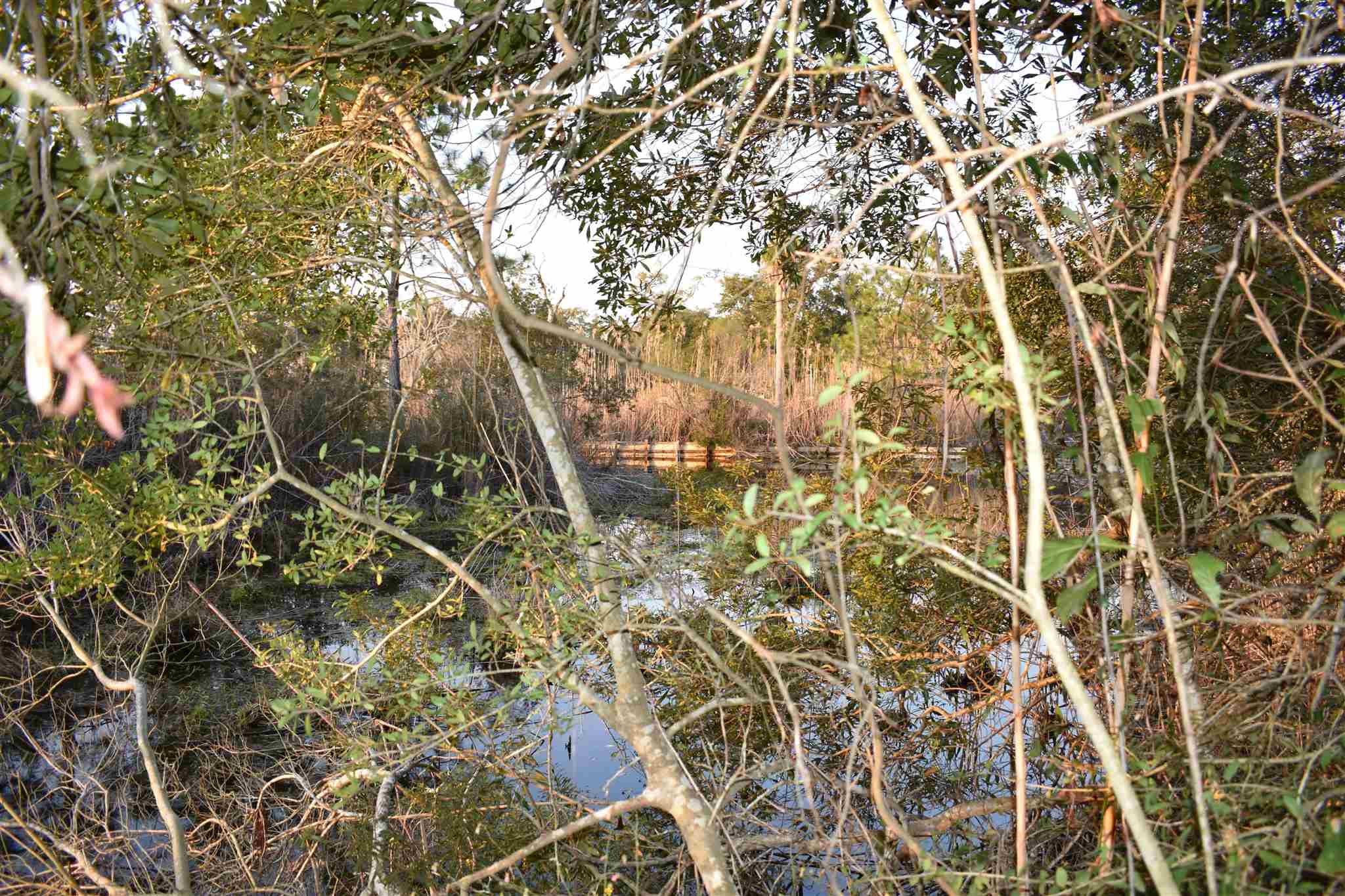 369 Garcon Point Road Milton, FL 32583 - Photo 6 of 19 Gallery Image 6