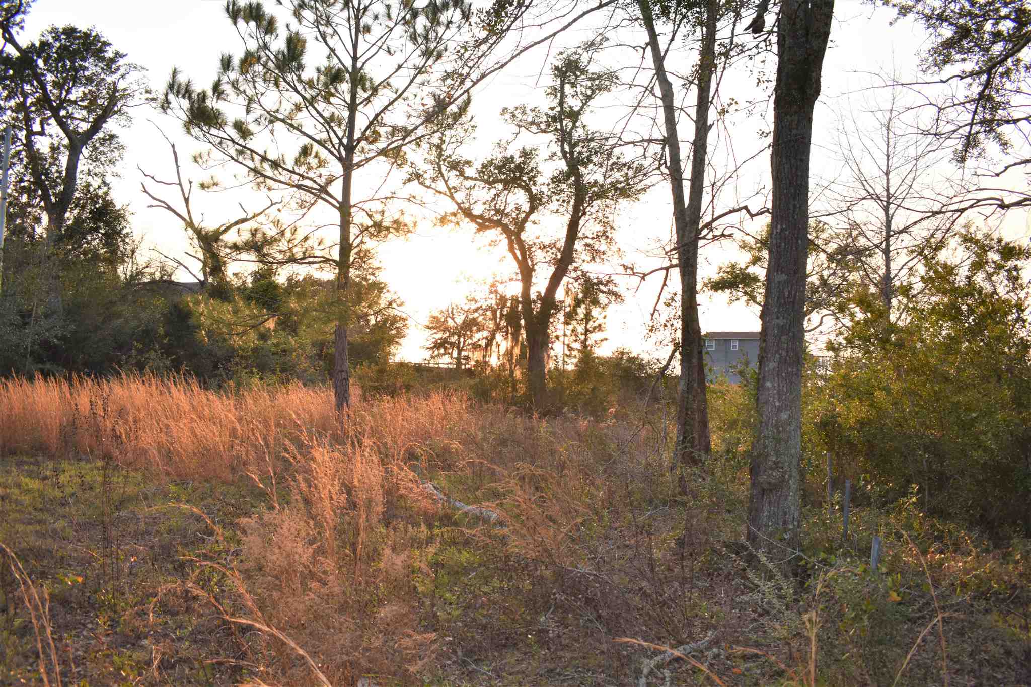 369 Garcon Point Road Milton, FL 32583 - Photo 8 of 19 Gallery Image 8