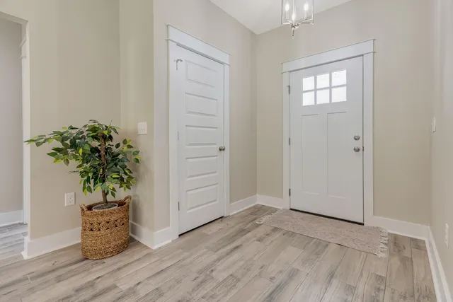 an empty room with wooden floor and a potted plant