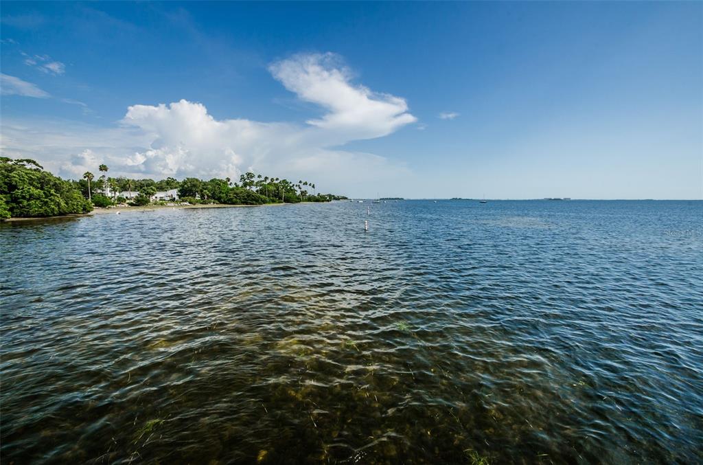 394 Georgia Avenue Crystal Beach, FL 34683 - Photo 51 of 69