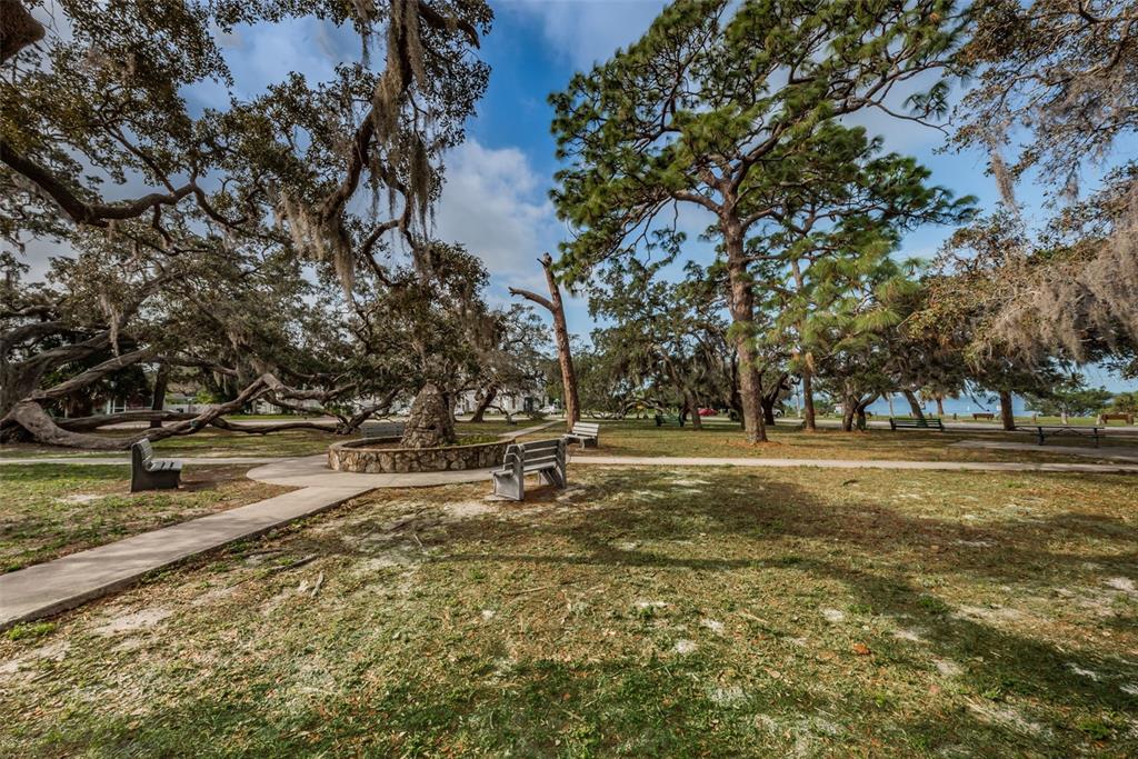 394 Georgia Avenue Crystal Beach, FL 34683 - Photo 57 of 69