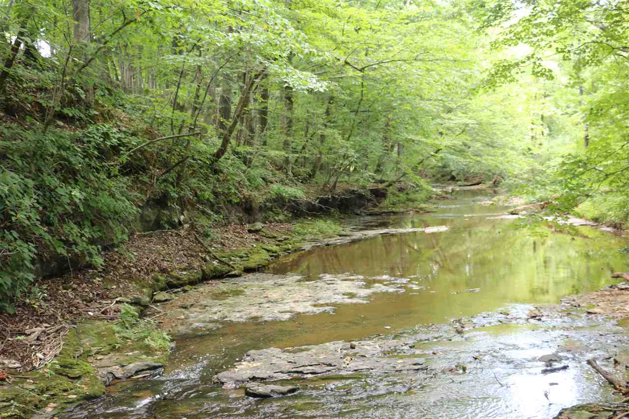 500 Forest Springs Road Adolphus, KY 42120 - Photo 29 of 33 Gallery Image 29