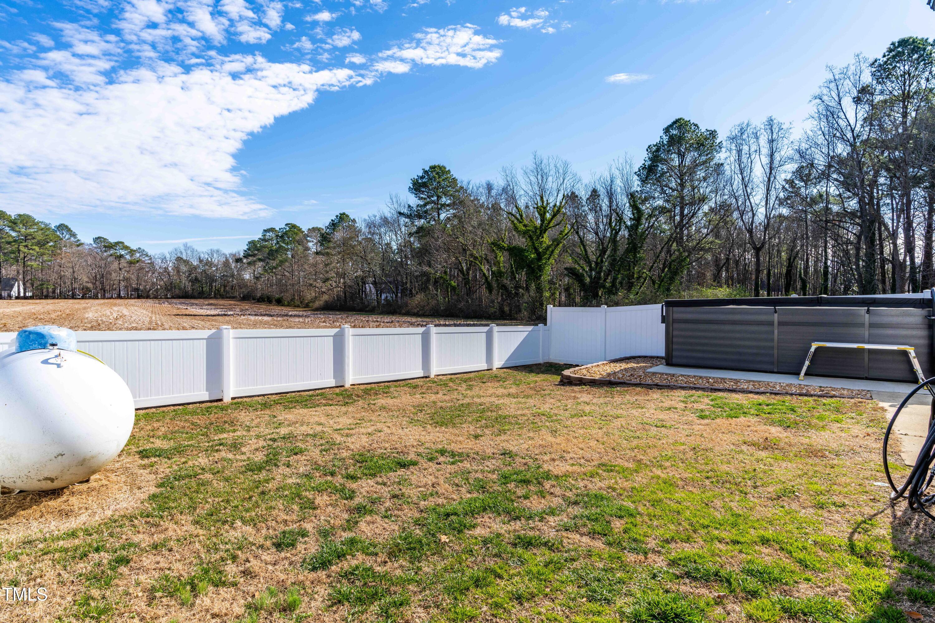 1675 Cheves Road Zebulon, NC 27597 - Photo 35 of 40 Backyard