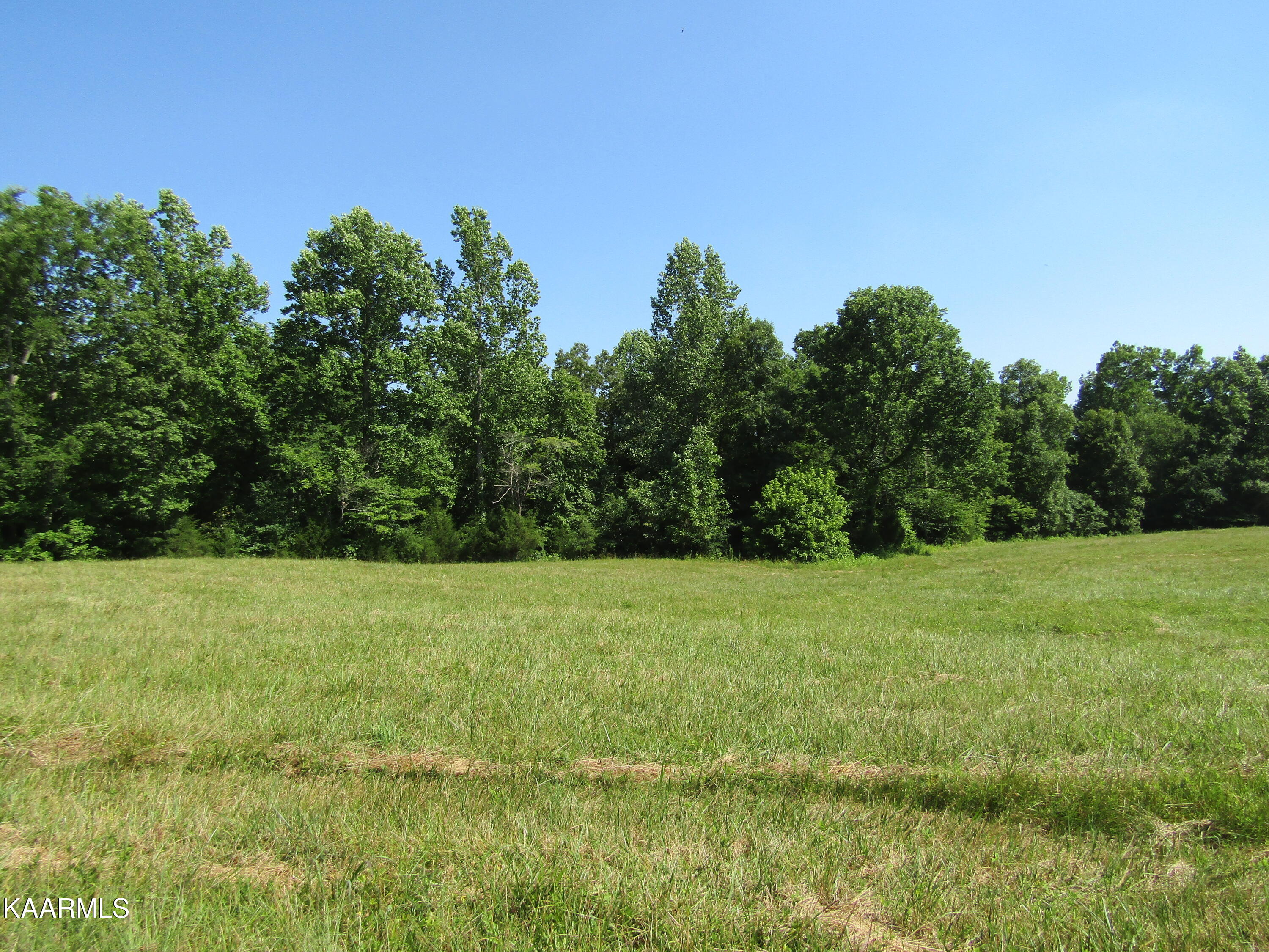 Lot Arrowhead Lot Arrowhead Road, Unit RD Moss, TN 38575 - Photo 1 of 16 USE AS MAIN