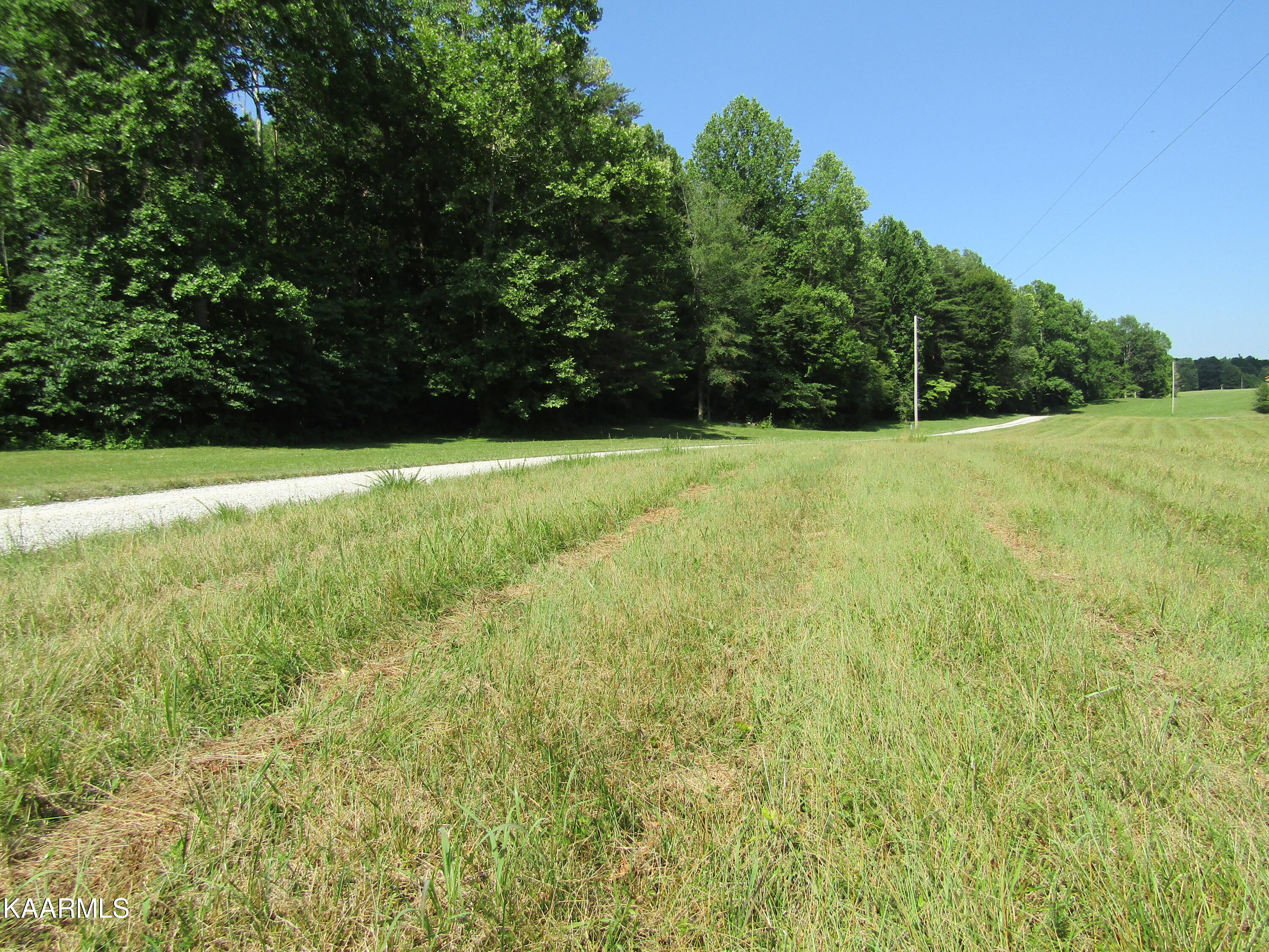 Lot Arrowhead Lot Arrowhead Road, Unit RD Moss, TN 38575 - Photo 11 of 16 IMG_8003