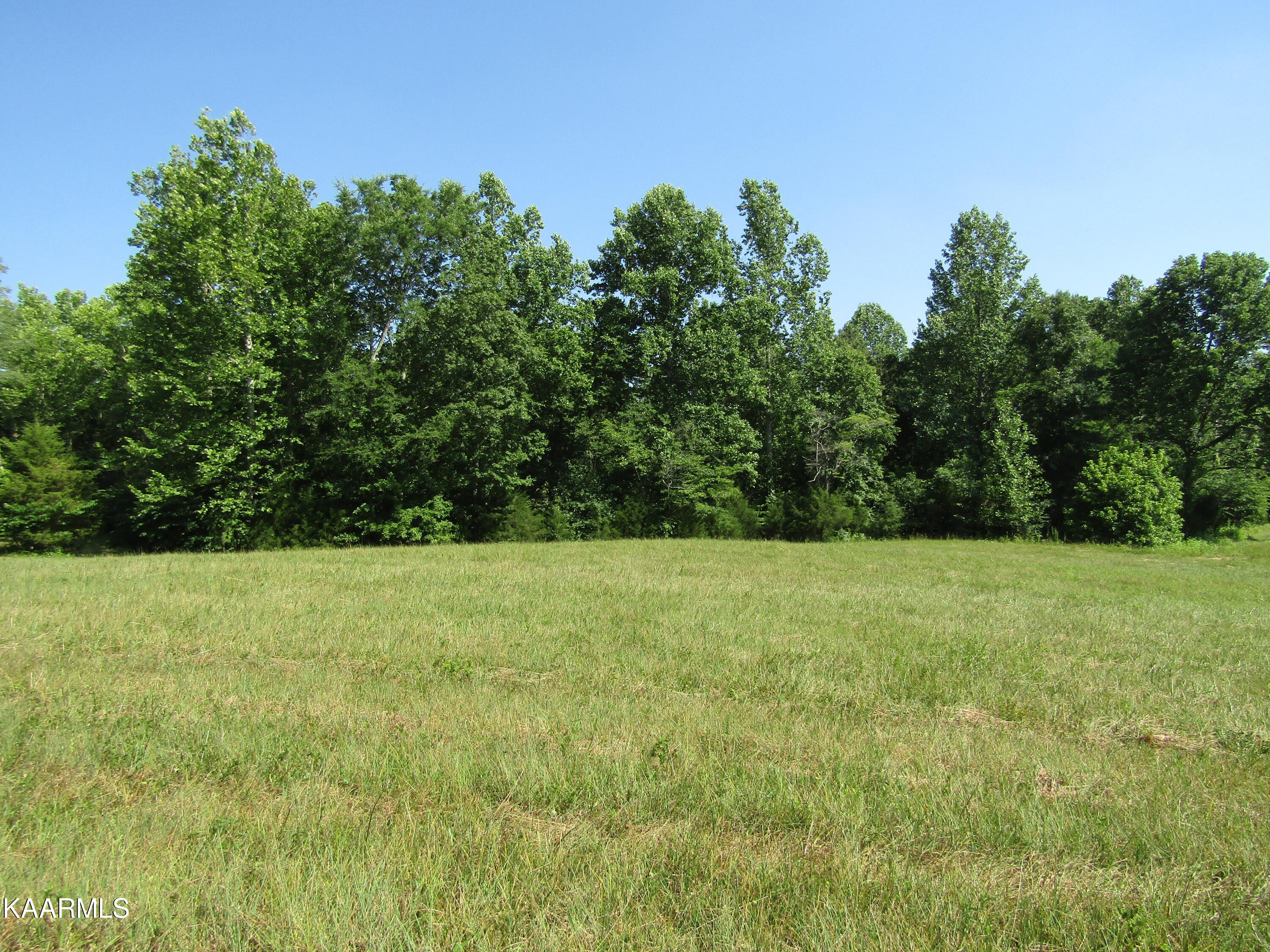 Lot Arrowhead Lot Arrowhead Road, Unit RD Moss, TN 38575 - Photo 12 of 16 IMG_8004