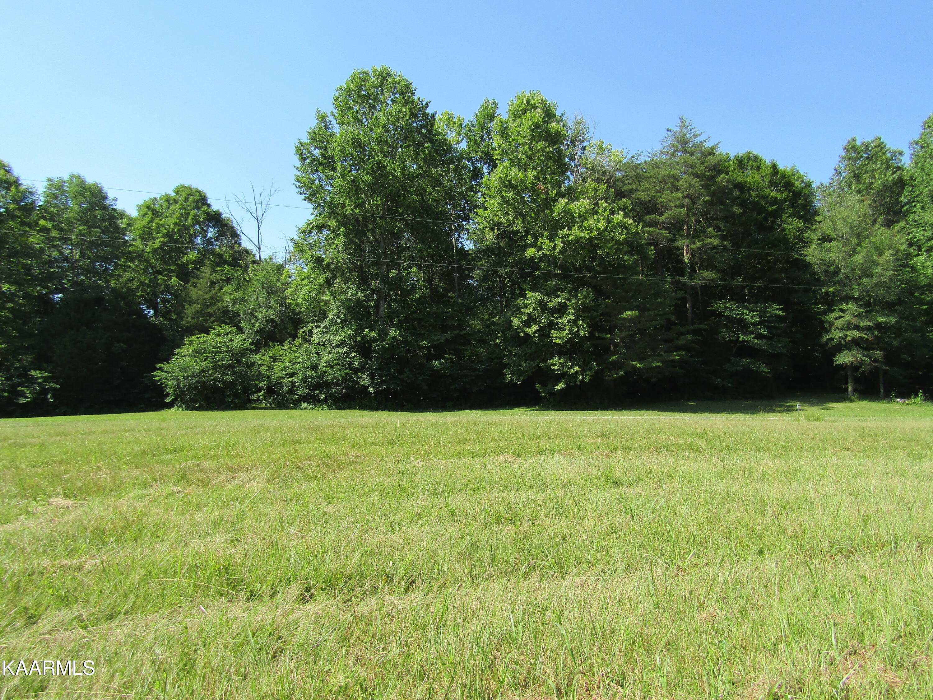 Lot Arrowhead Lot Arrowhead Road, Unit RD Moss, TN 38575 - Photo 13 of 16 IMG_8005