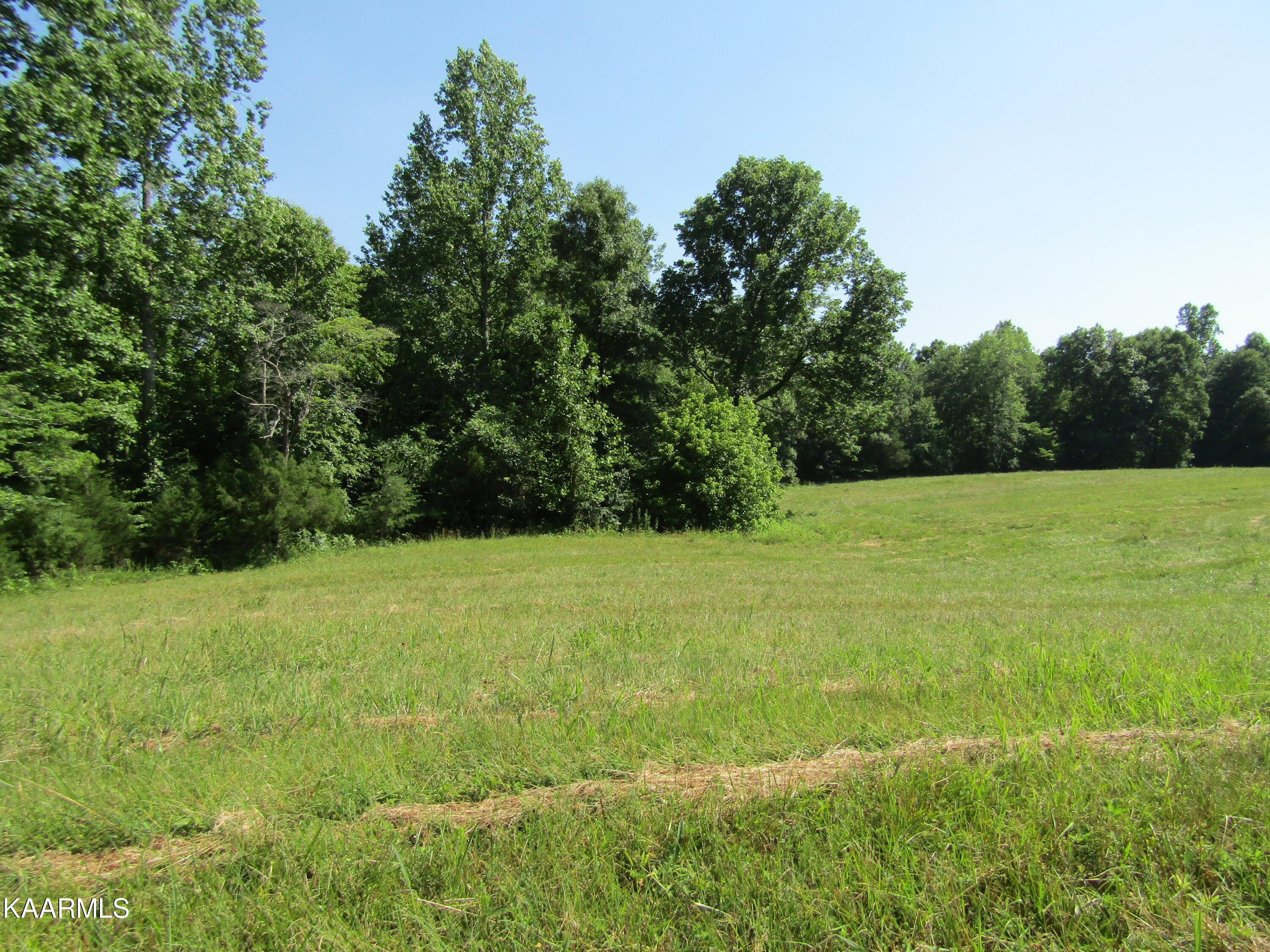 Lot Arrowhead Lot Arrowhead Road, Unit RD Moss, TN 38575 - Photo 15 of 16 IMG_8007