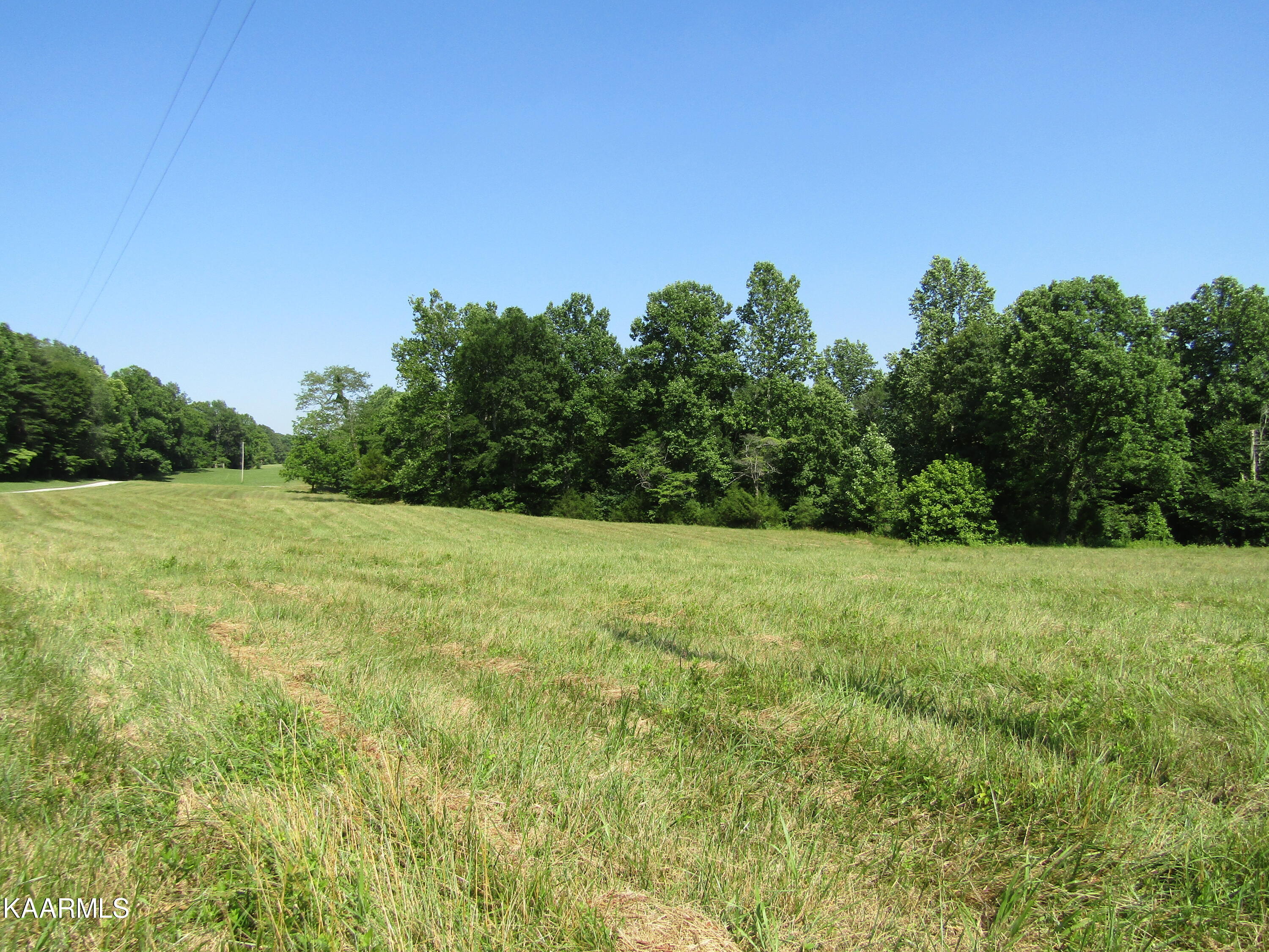 Lot Arrowhead Lot Arrowhead Road, Unit RD Moss, TN 38575 - Photo 4 of 16 IMG_7995