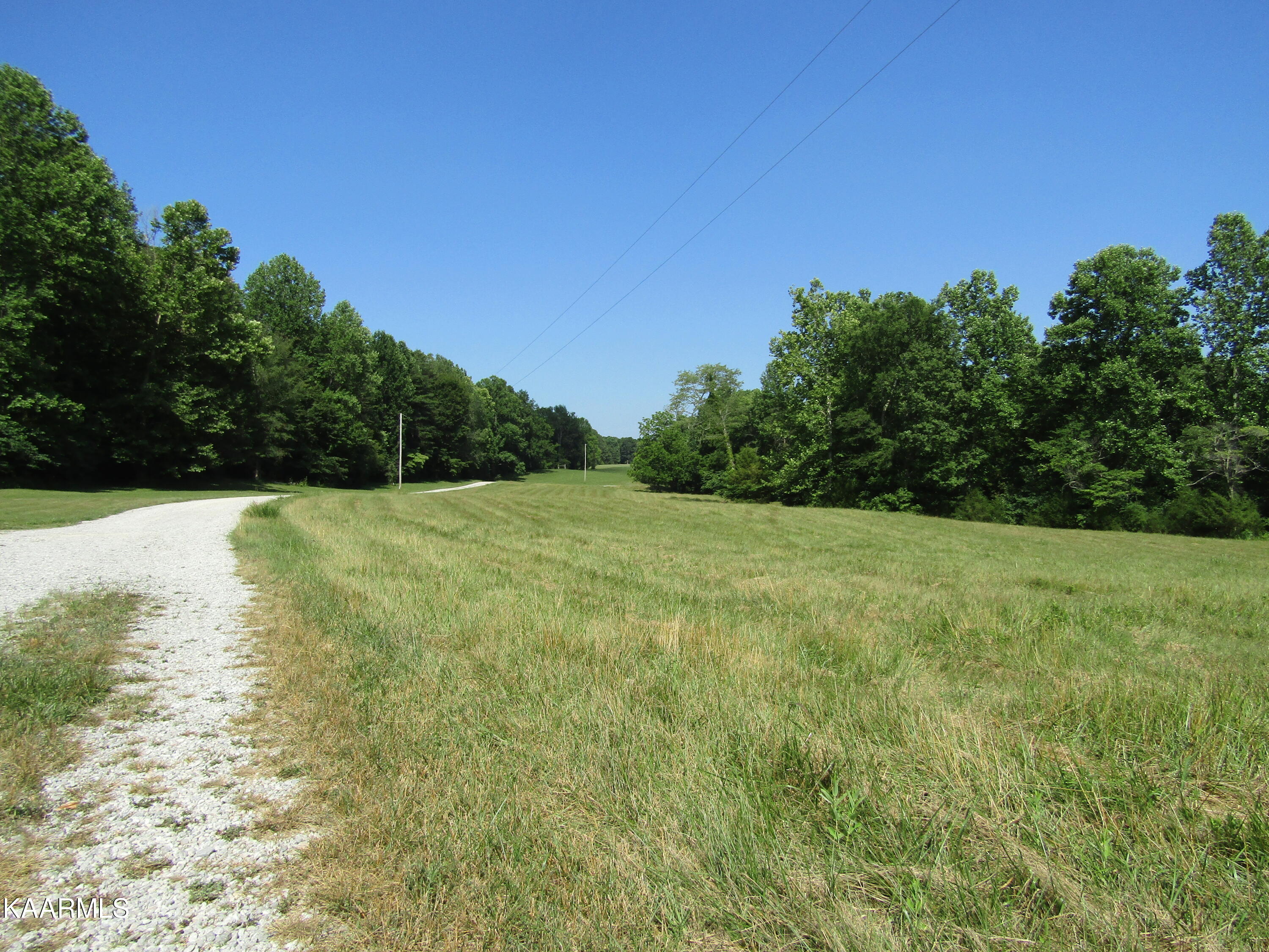 Lot Arrowhead Lot Arrowhead Road, Unit RD Moss, TN 38575 - Photo 5 of 16 IMG_7996