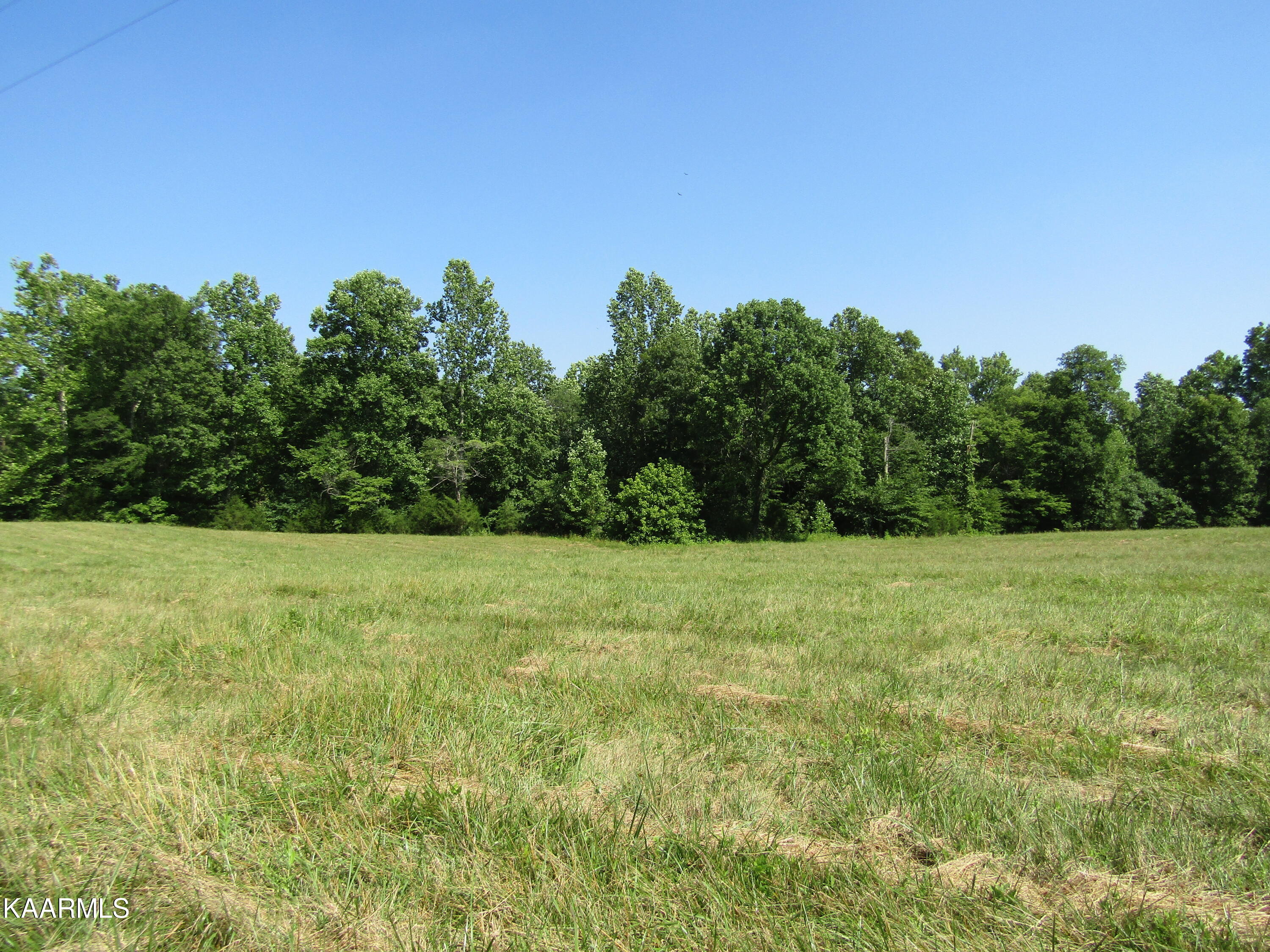 Lot Arrowhead Lot Arrowhead Road, Unit RD Moss, TN 38575 - Photo 7 of 16 IMG_7998