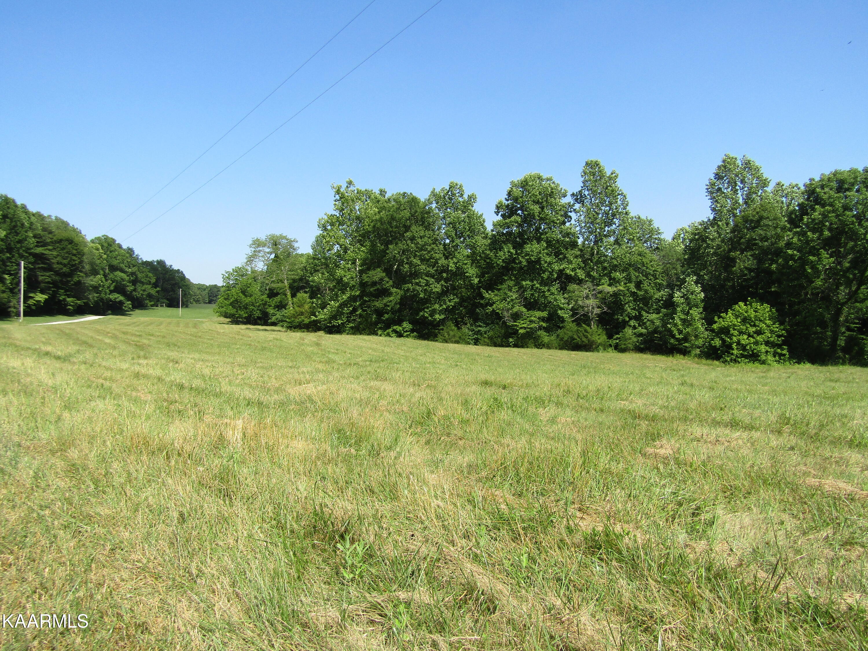 Lot Arrowhead Lot Arrowhead Road, Unit RD Moss, TN 38575 - Photo 8 of 16 IMG_7999