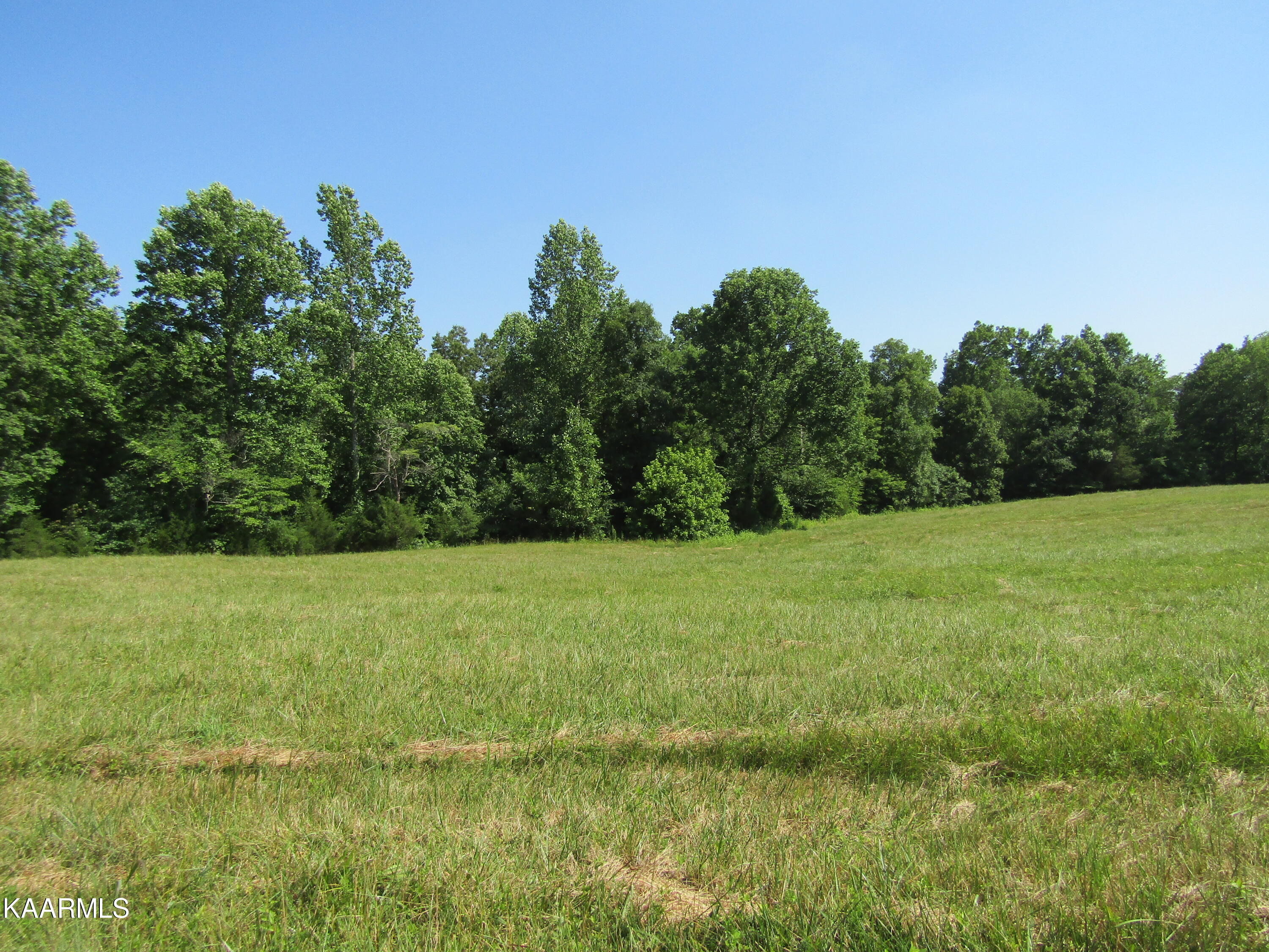 Lot Arrowhead Lot Arrowhead Road, Unit RD Moss, TN 38575 - Photo 10 of 16 IMG_8002