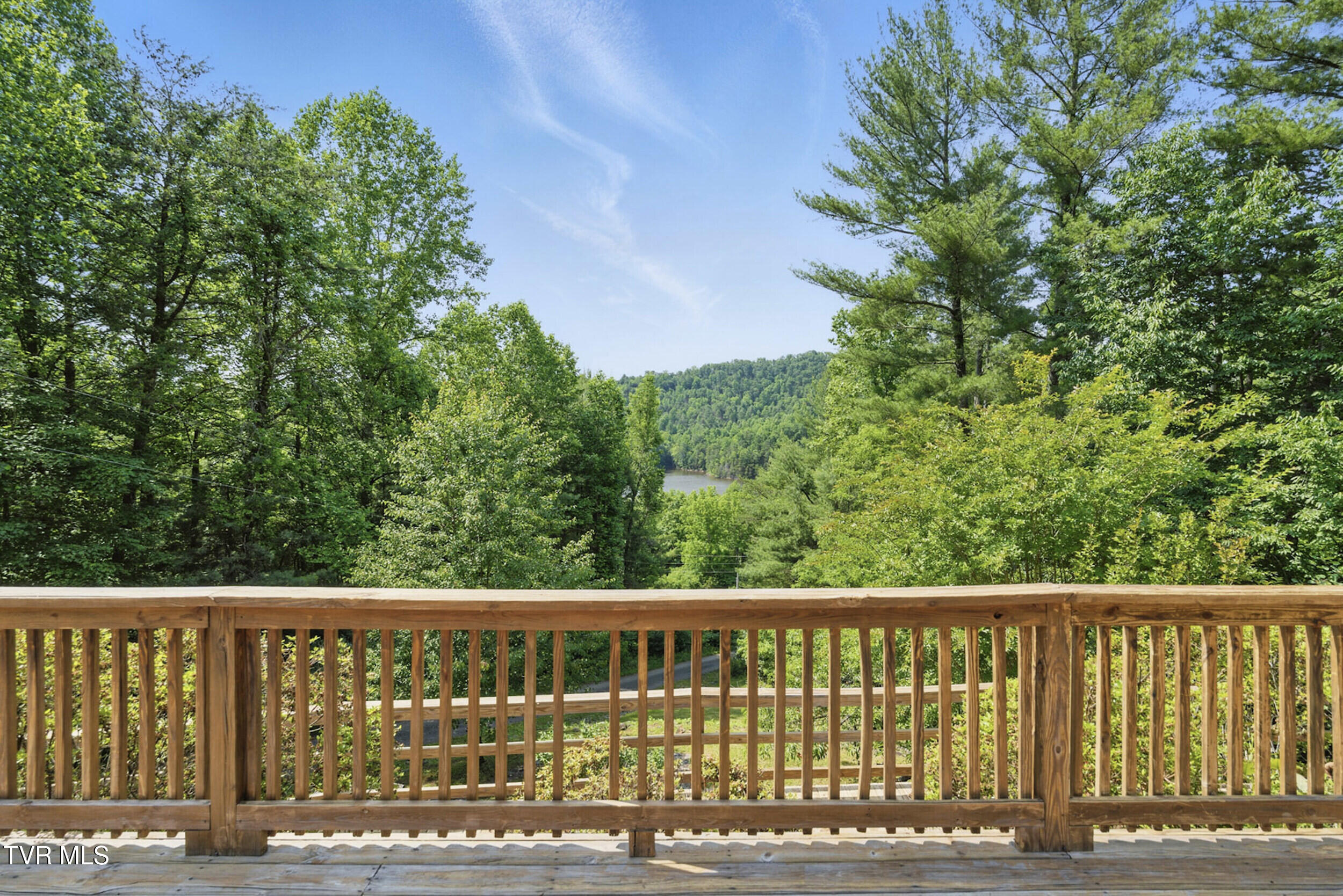 2210 Norris Road Butler, TN 37640 - Photo 3 of 50 deck