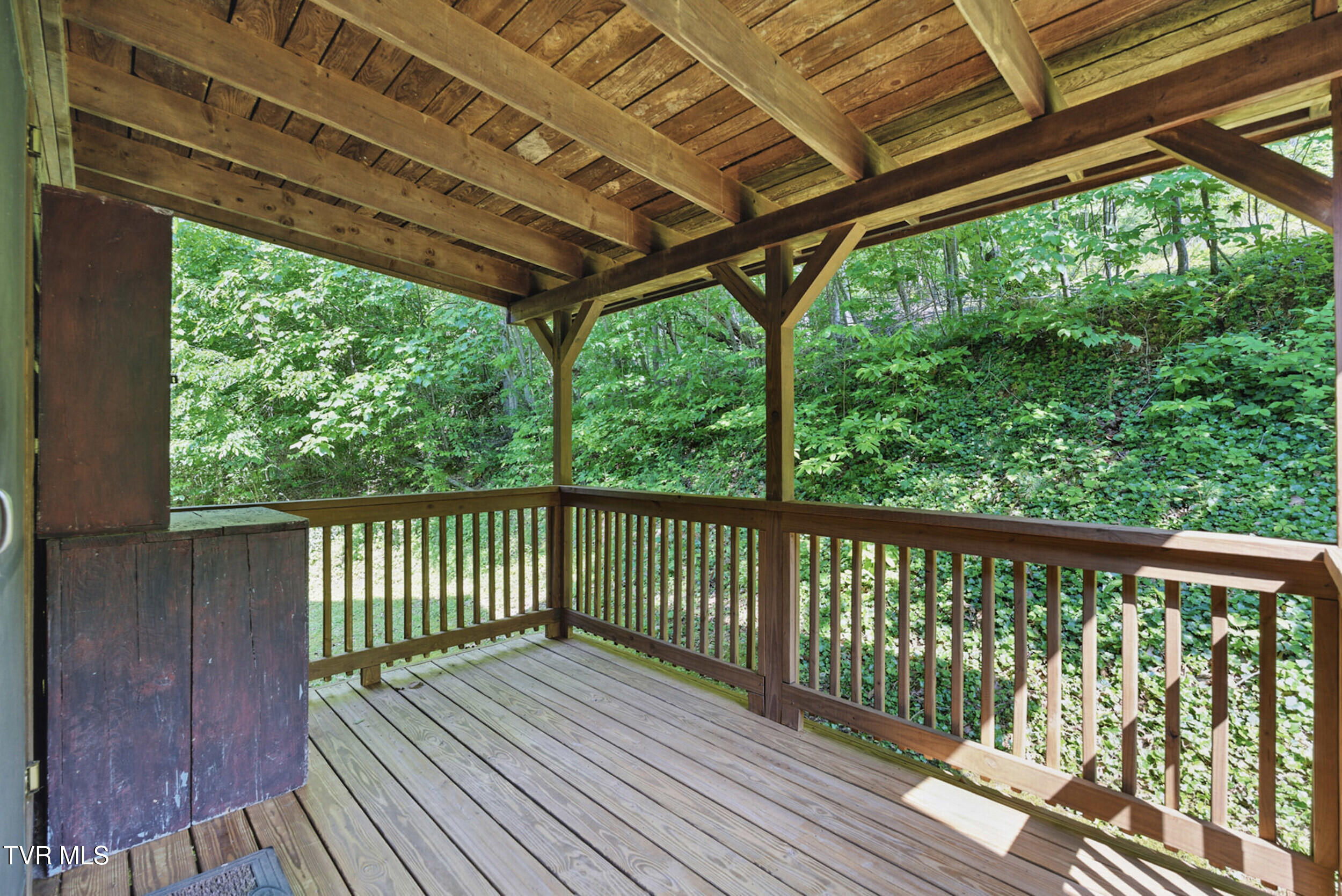 2210 Norris Road Butler, TN 37640 - Photo 31 of 50 back porch